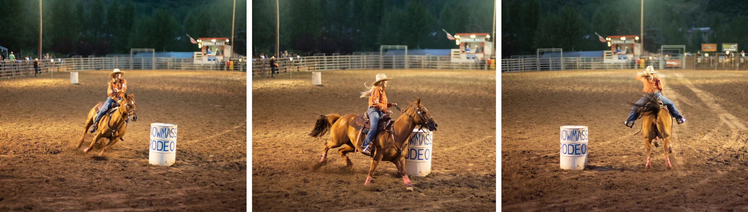 Rodeo 3 panel_2500pixels.jpg