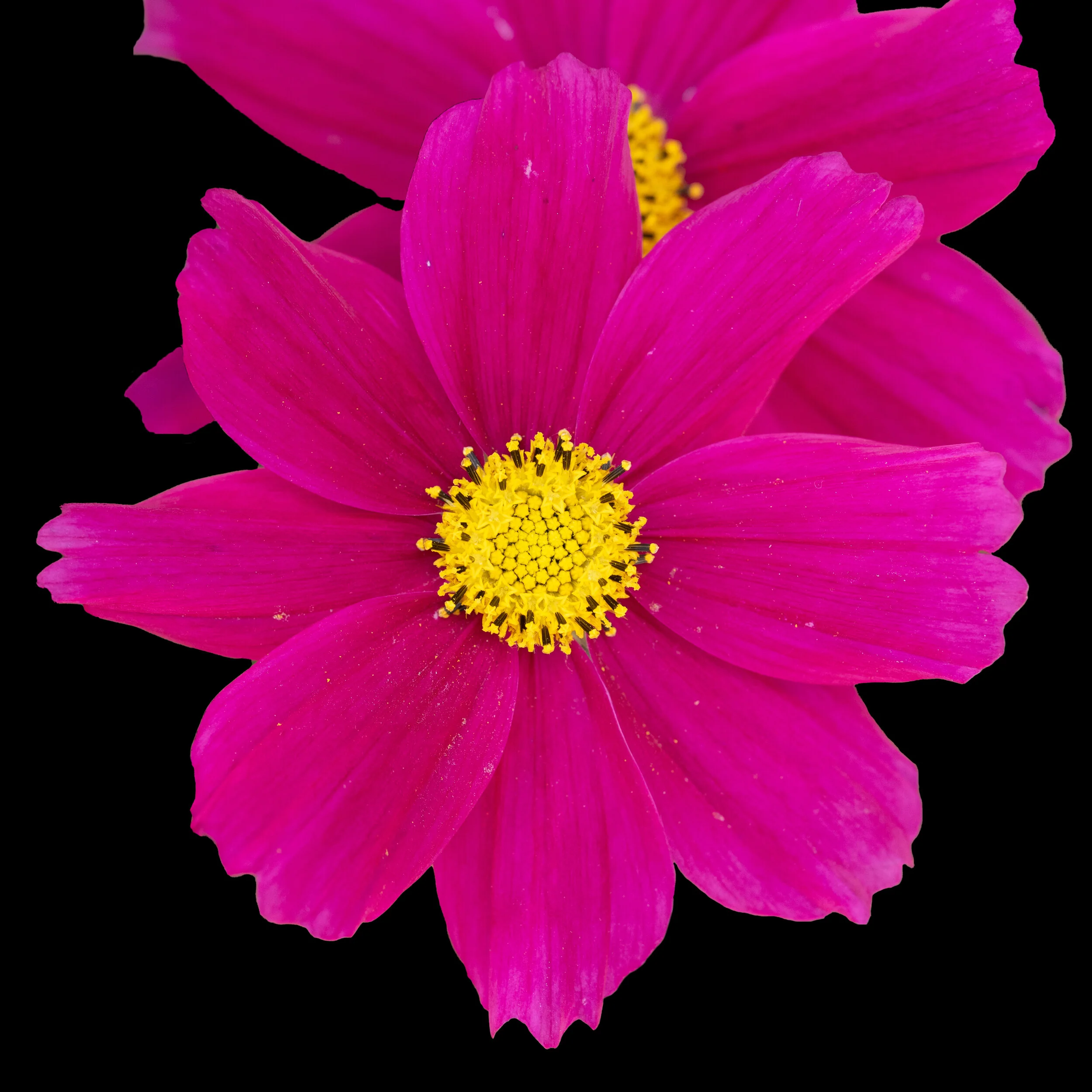 L1030078-2.jpg