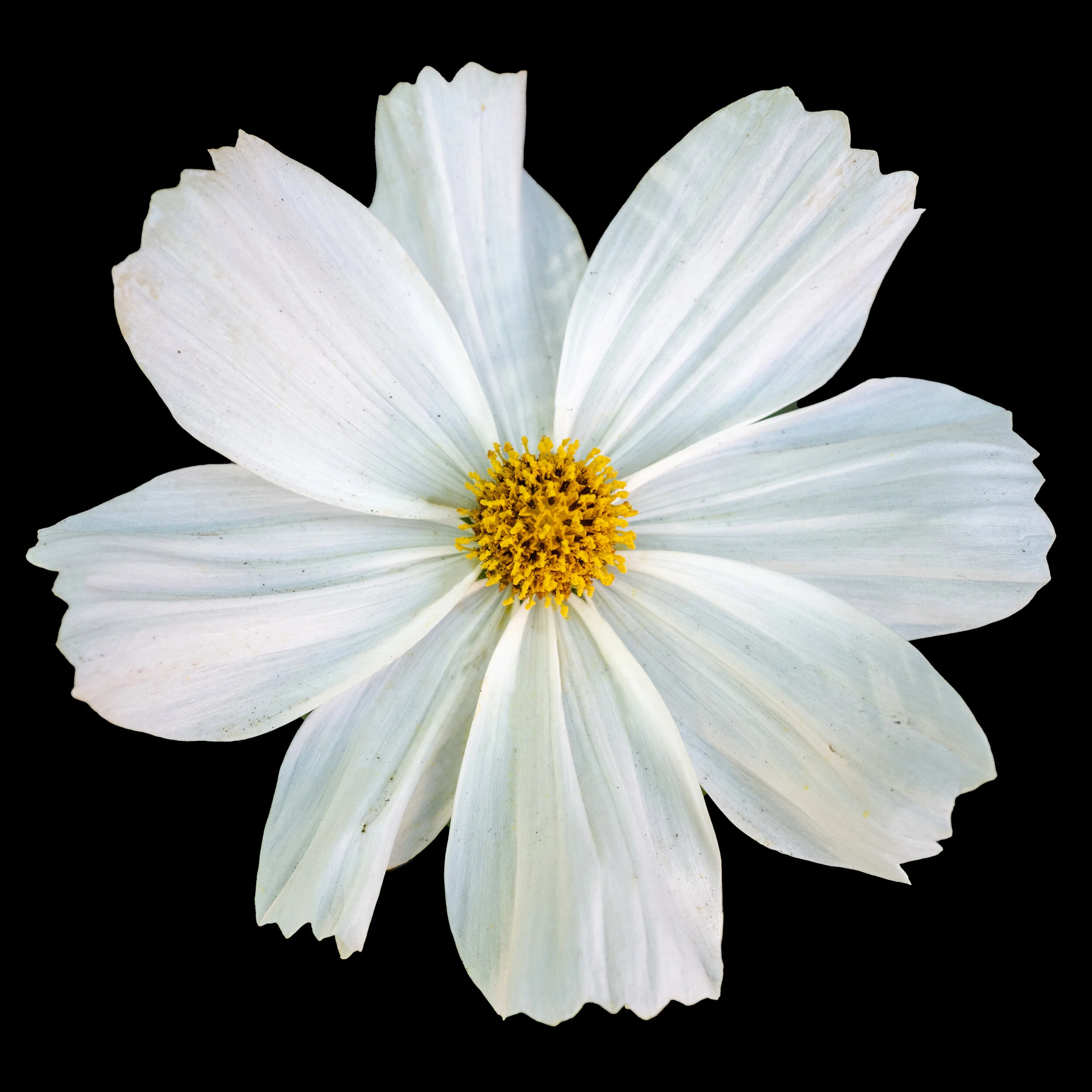 L1020231-3.jpg