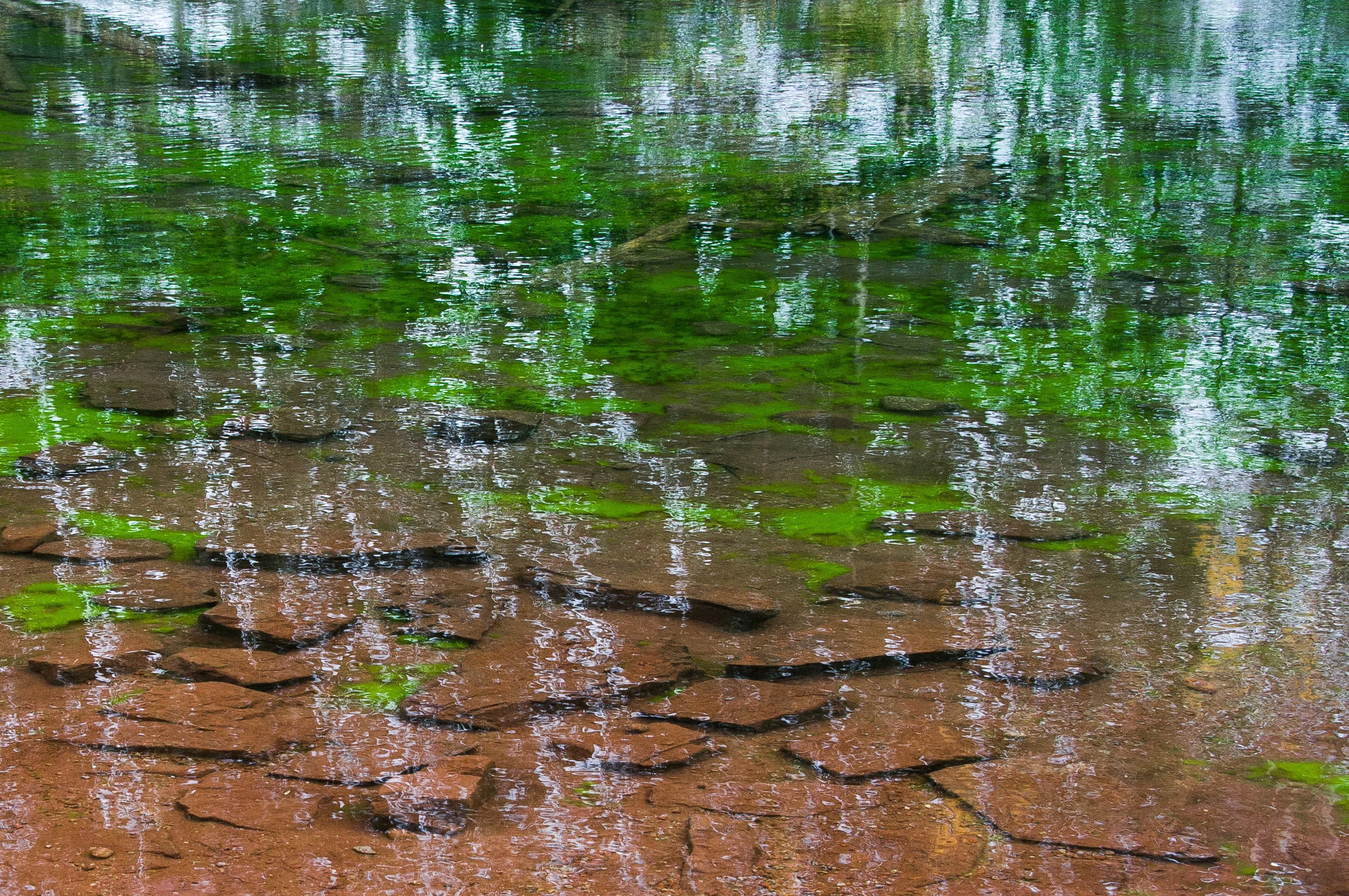Mirage-DSC_8425.jpg