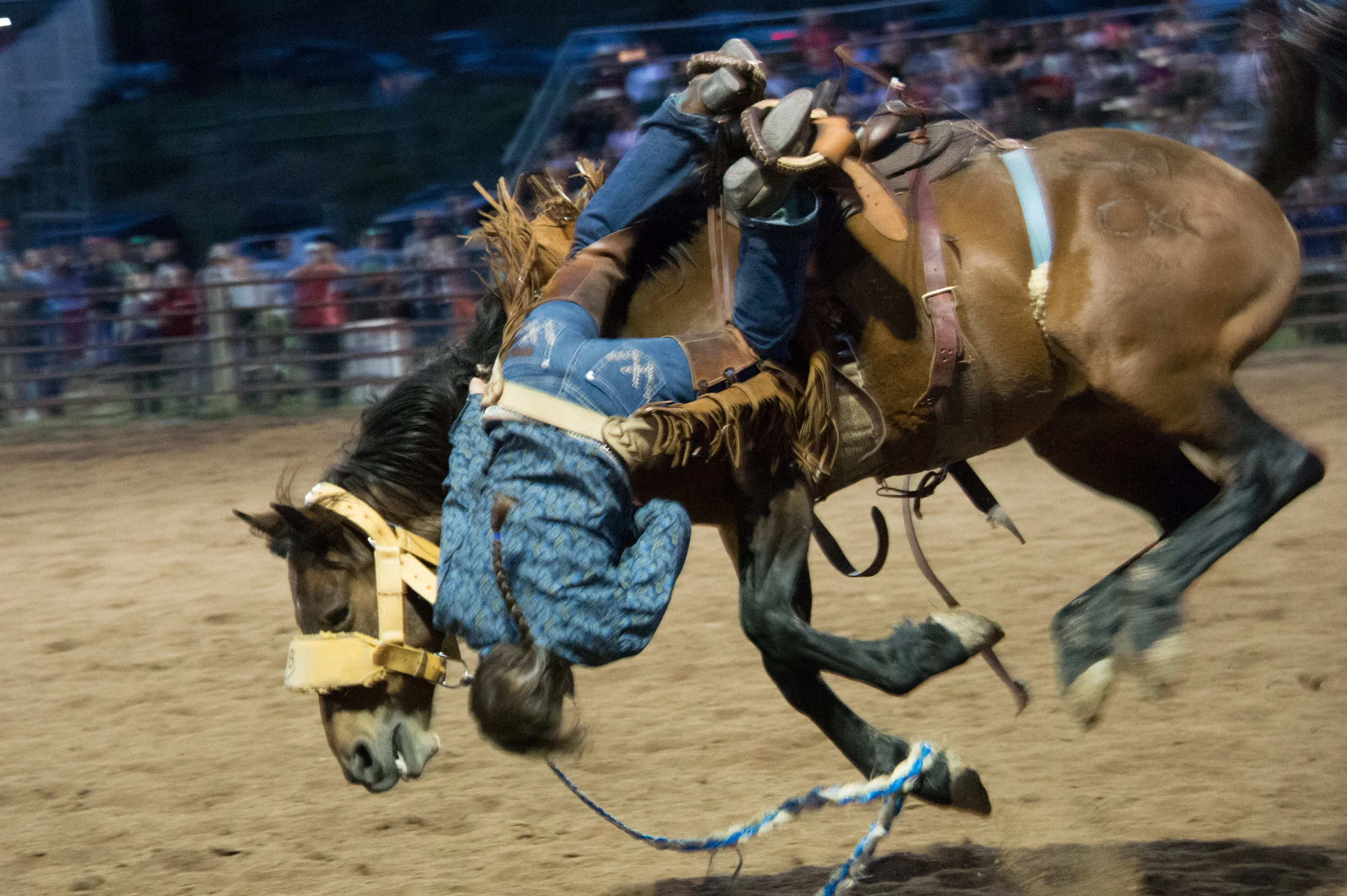 Between_the_Stirrup_and_the_Stars-DSC_5692.jpg