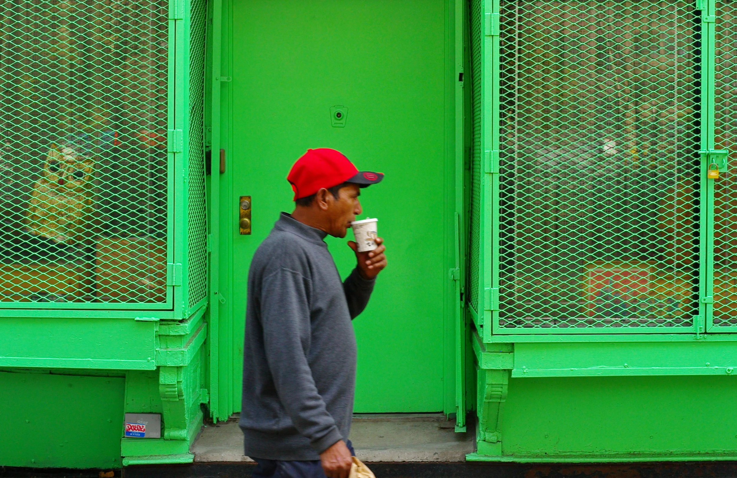 Owl__New_York_City-20121017-L1008475.jpg