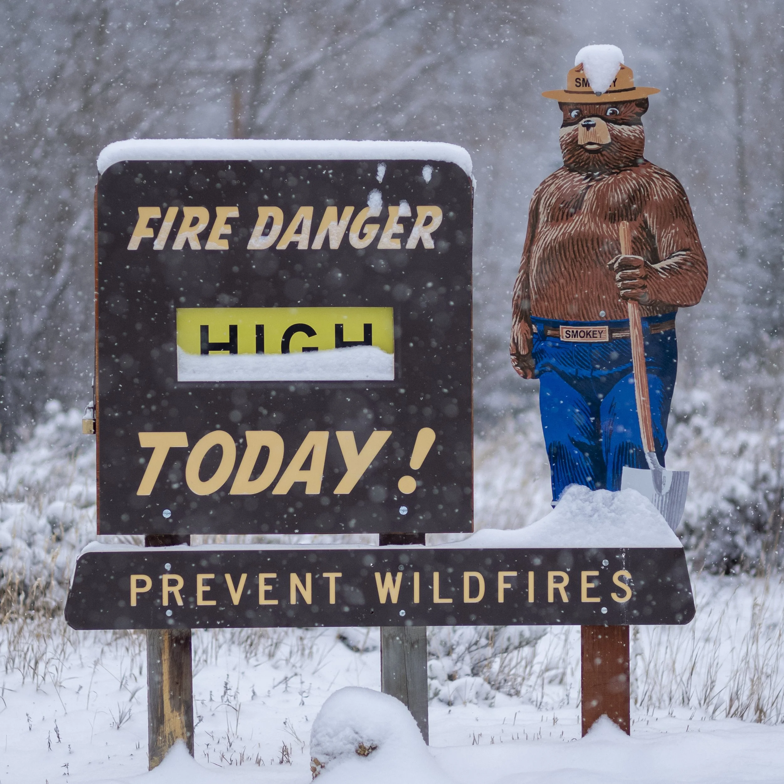 Fire Danger.jpg