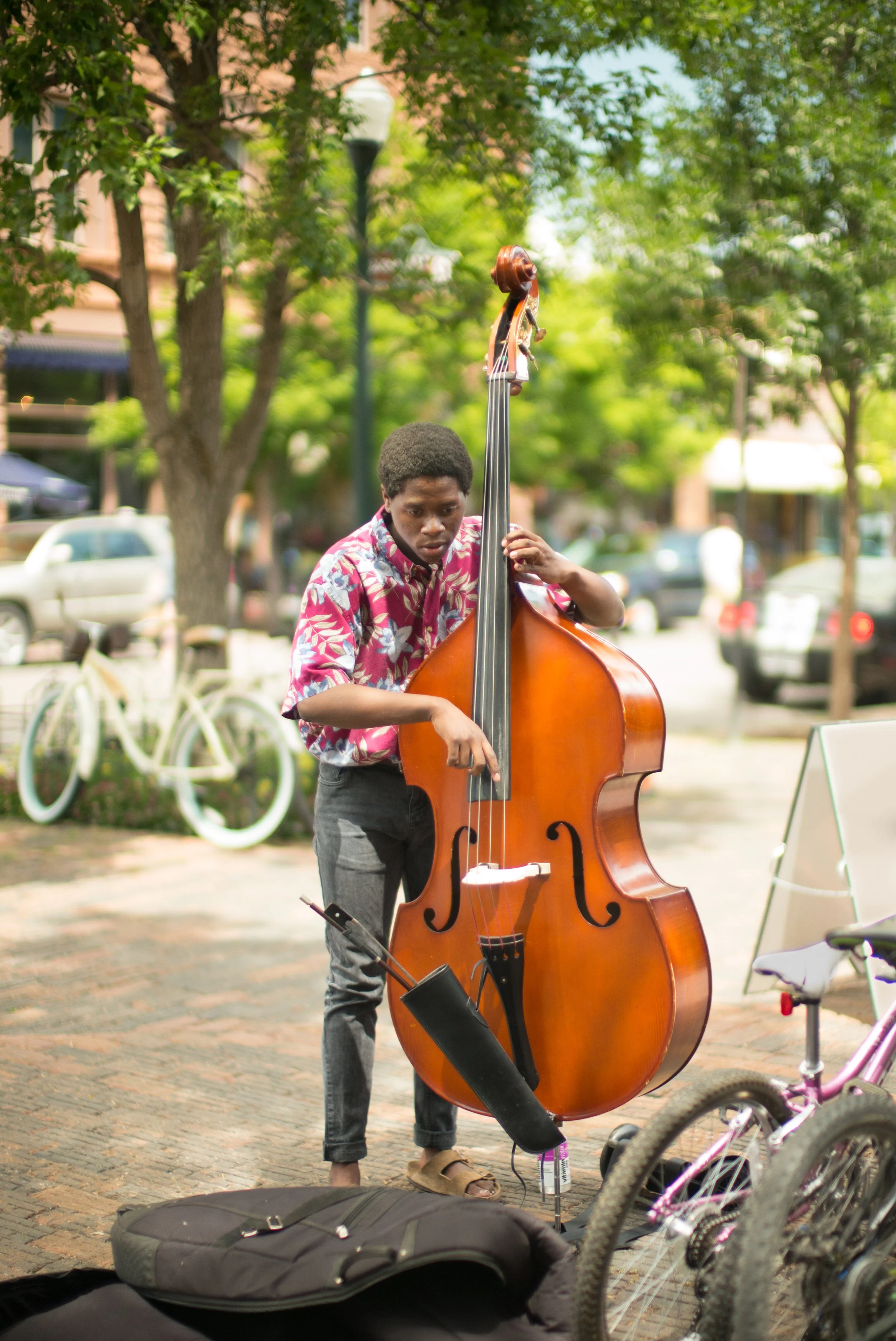 Downtown Bass 62x42.jpg