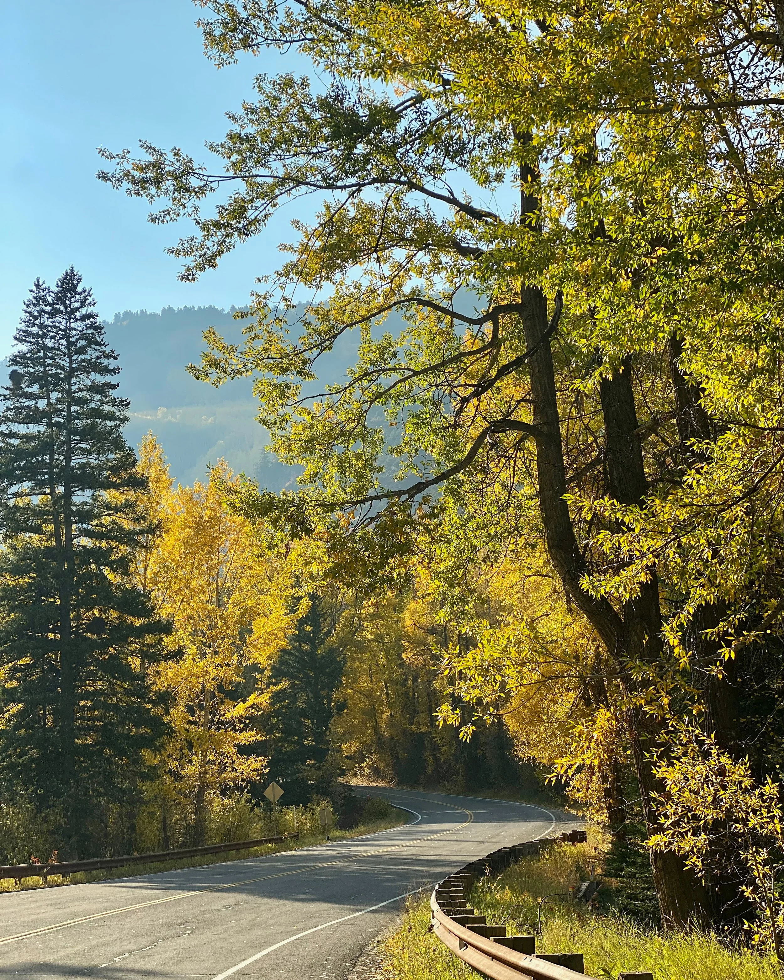Road to Maroon Bells, Aspen, CO  24x30.jpg