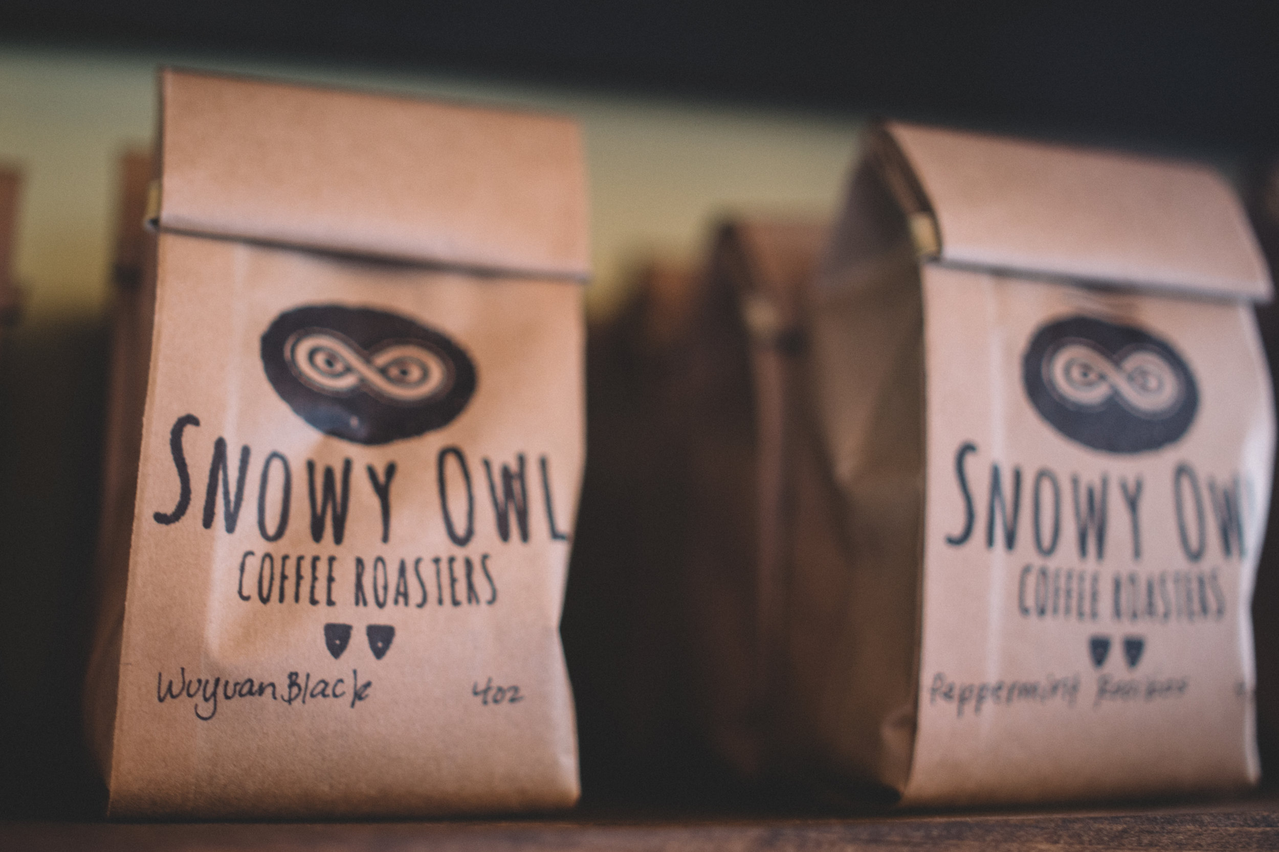 TPC-SnowyOwl-46.jpg
