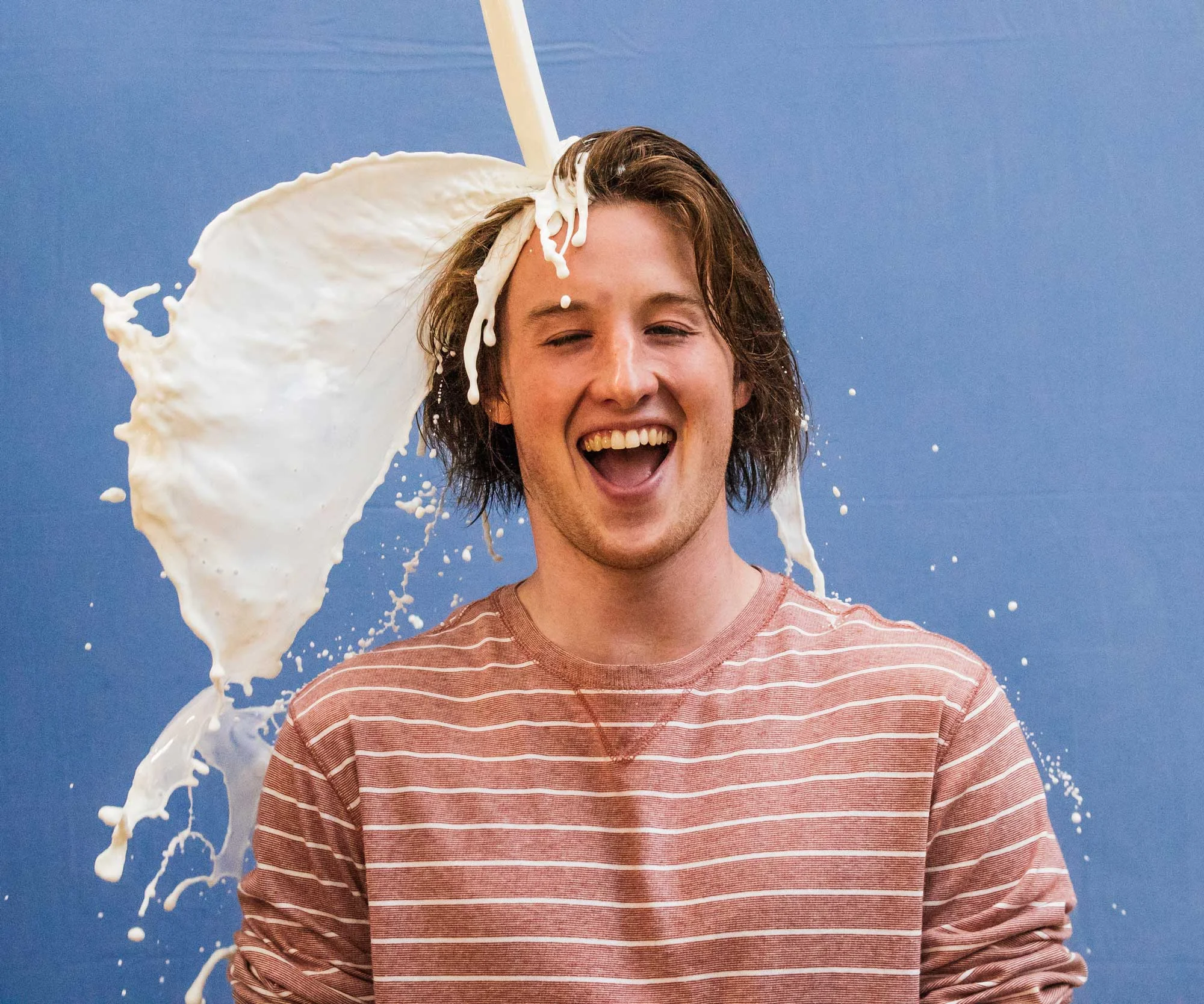 Milk Heads - Curran.jpg