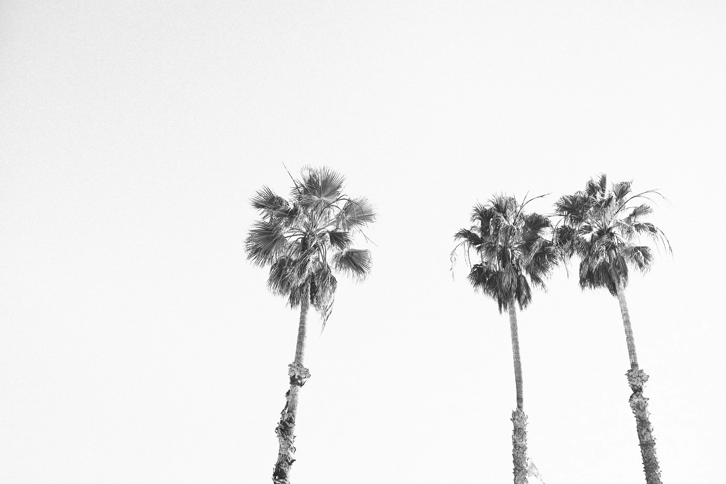 CALIFORNIA 7.jpg