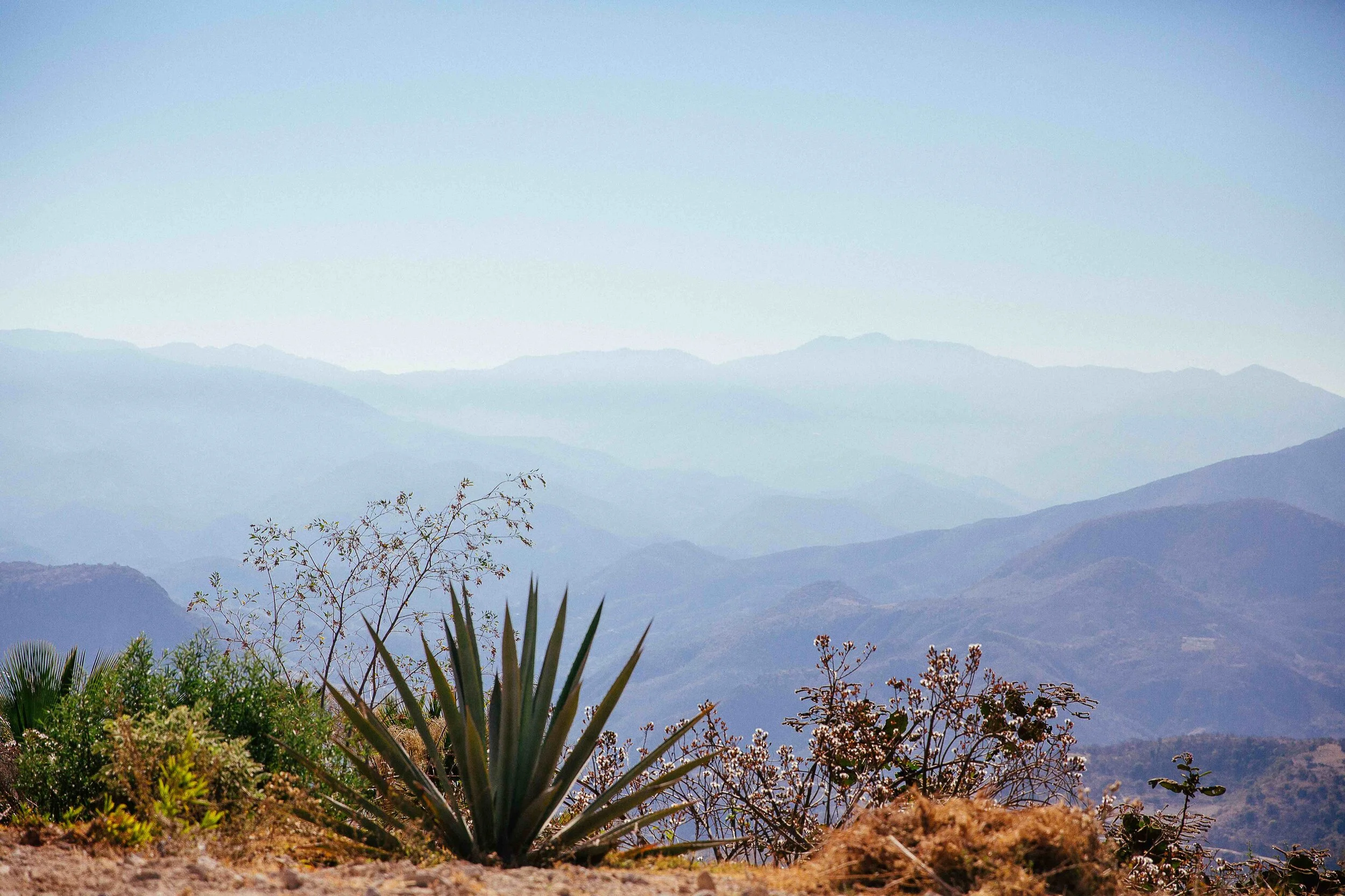Oaxaca-7_LR.jpg