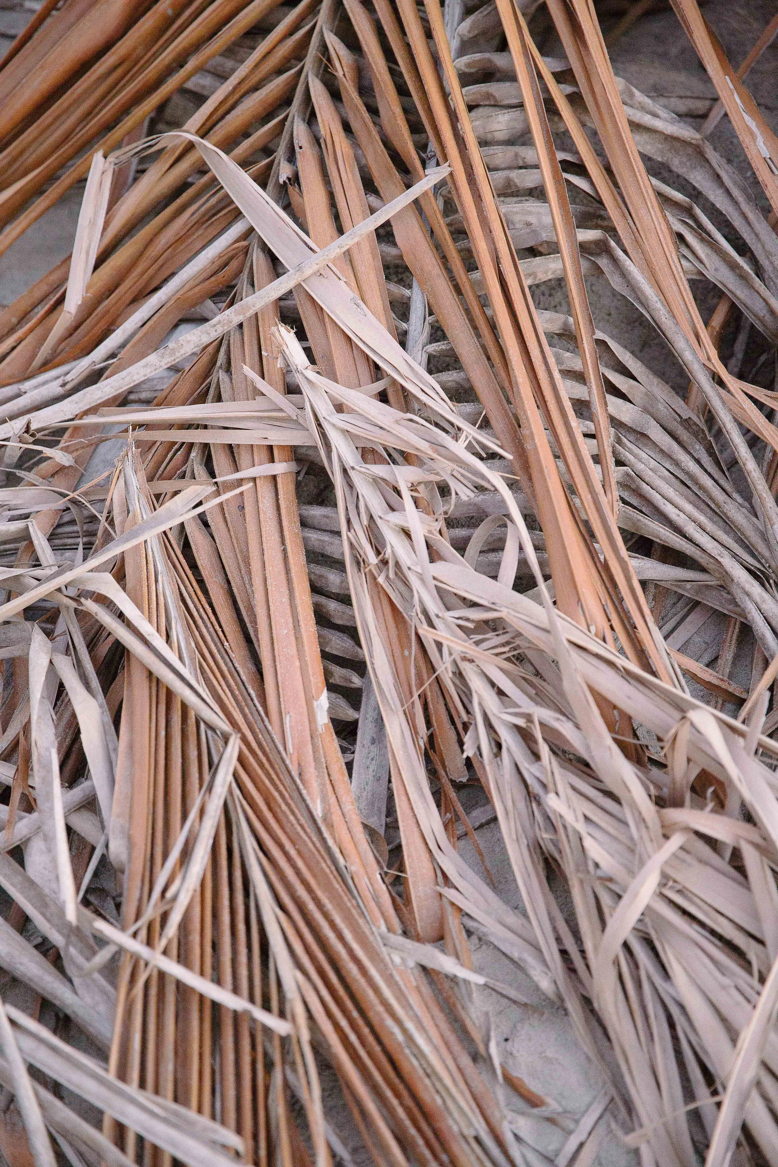 CHARACTER OF A SEASON