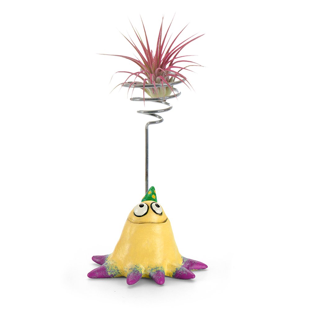 G21587B - 'Bash' Party Blob with Air Plant Holder