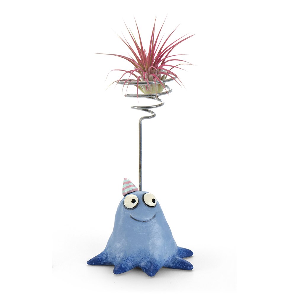 G21588B - 'Joy' Party Blob with Air Plant Holder