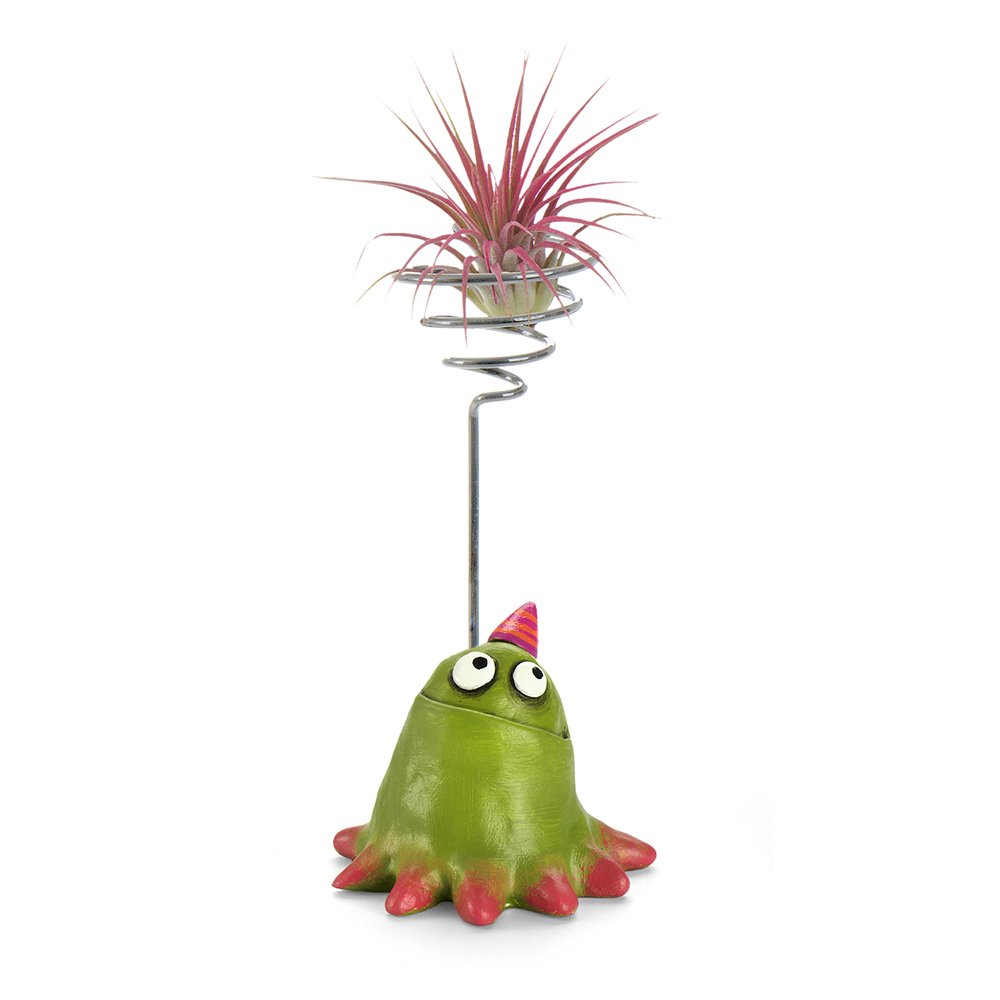 G21589B - 'Shindig' Party Blob with Air Plant Holder