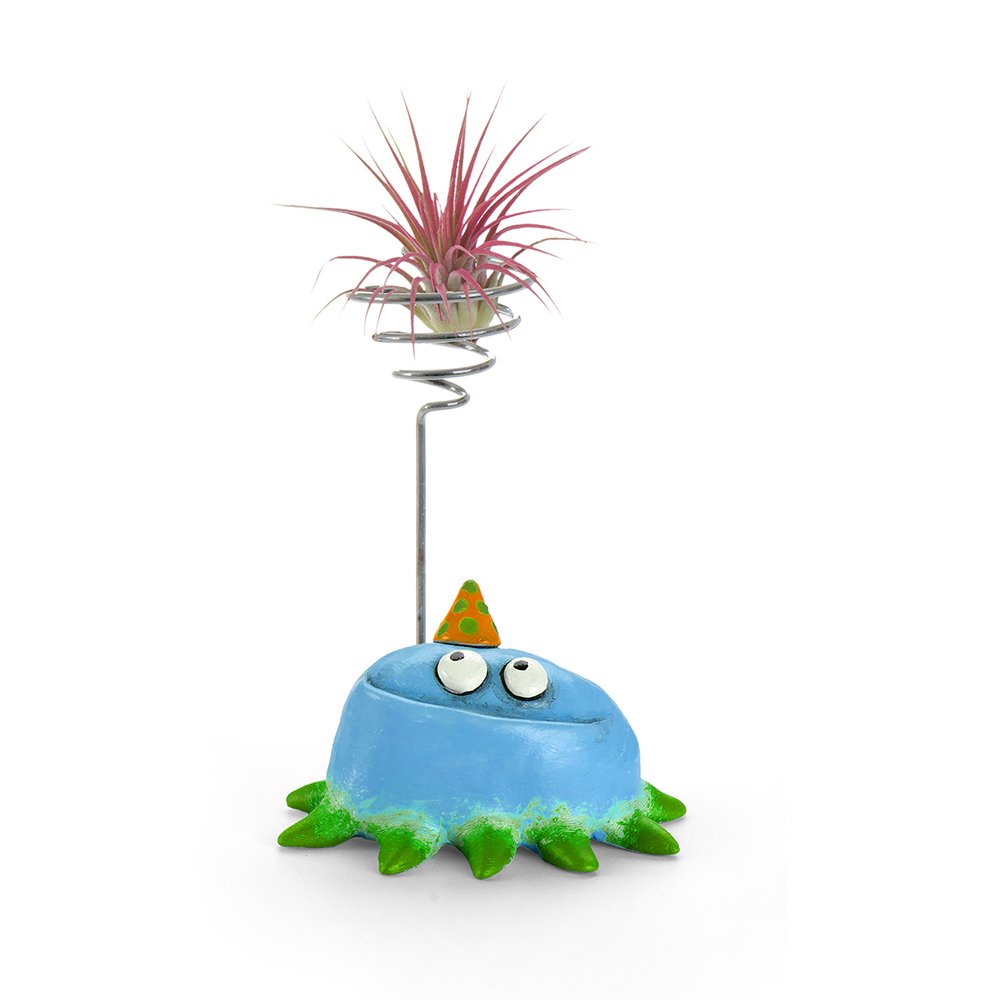 G21590B - 'Fiesta' Party Blob with Air Plant Holder