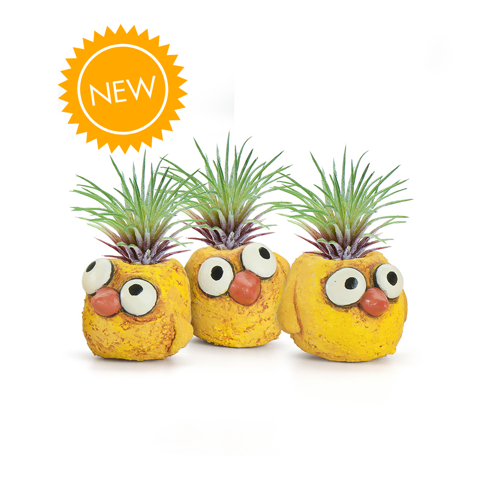 Cohasset Gifts and Garden — Barnyard