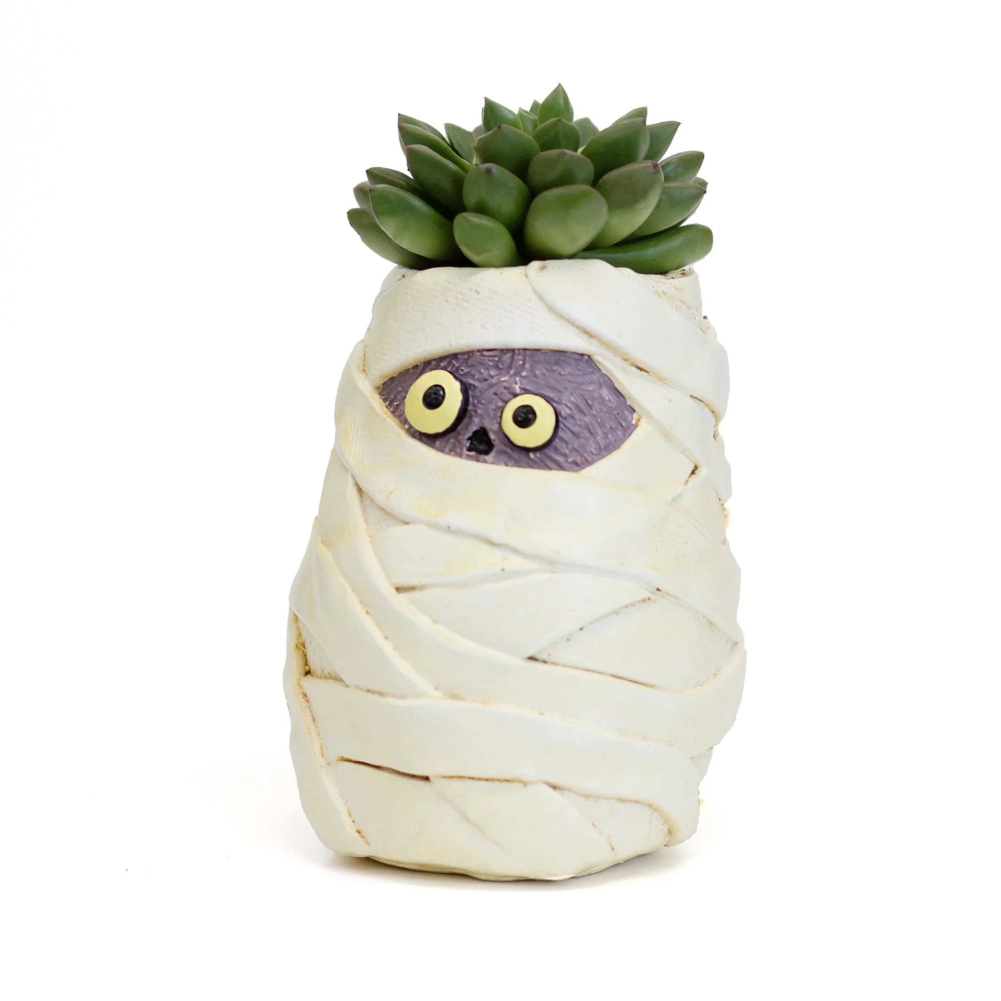 G21645 - Mummy Mia Planter