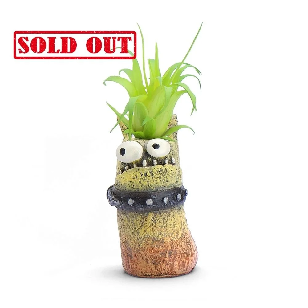 G21503 - Bloomies 'Diesel' Mini Monster Planter