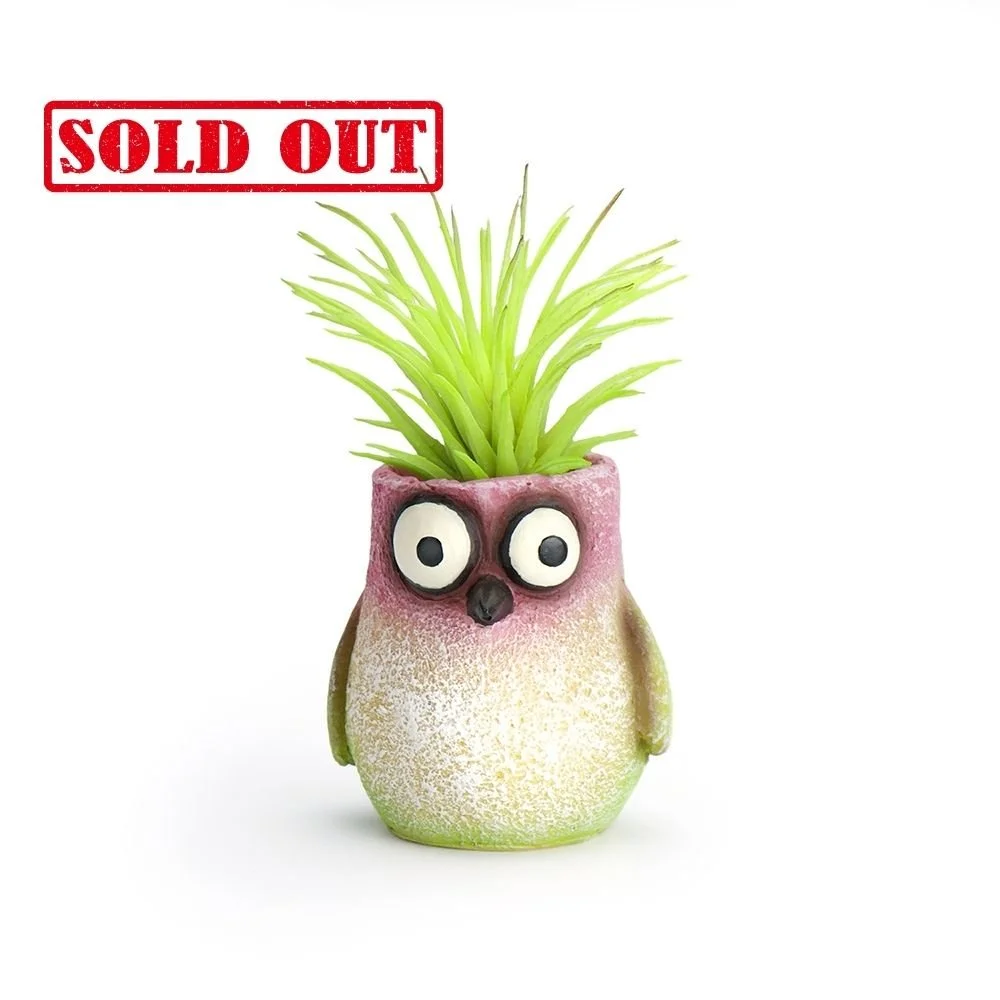 G21460 - 'Baby Bitty' Mini Hummingbird Planter