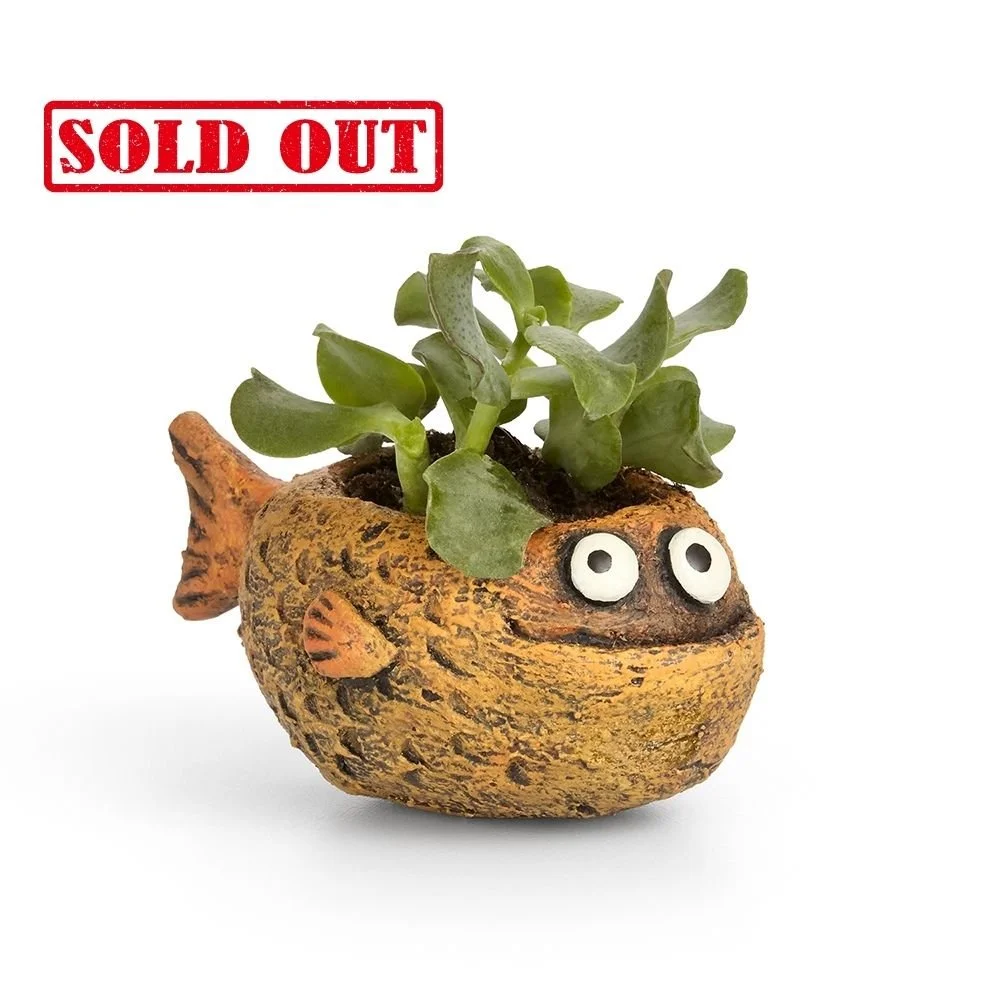 G21562 - 'Mango' Fish Planter