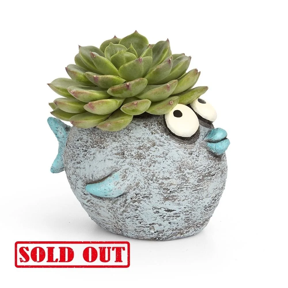 G21561 - 'Bubbles' Fish Planter