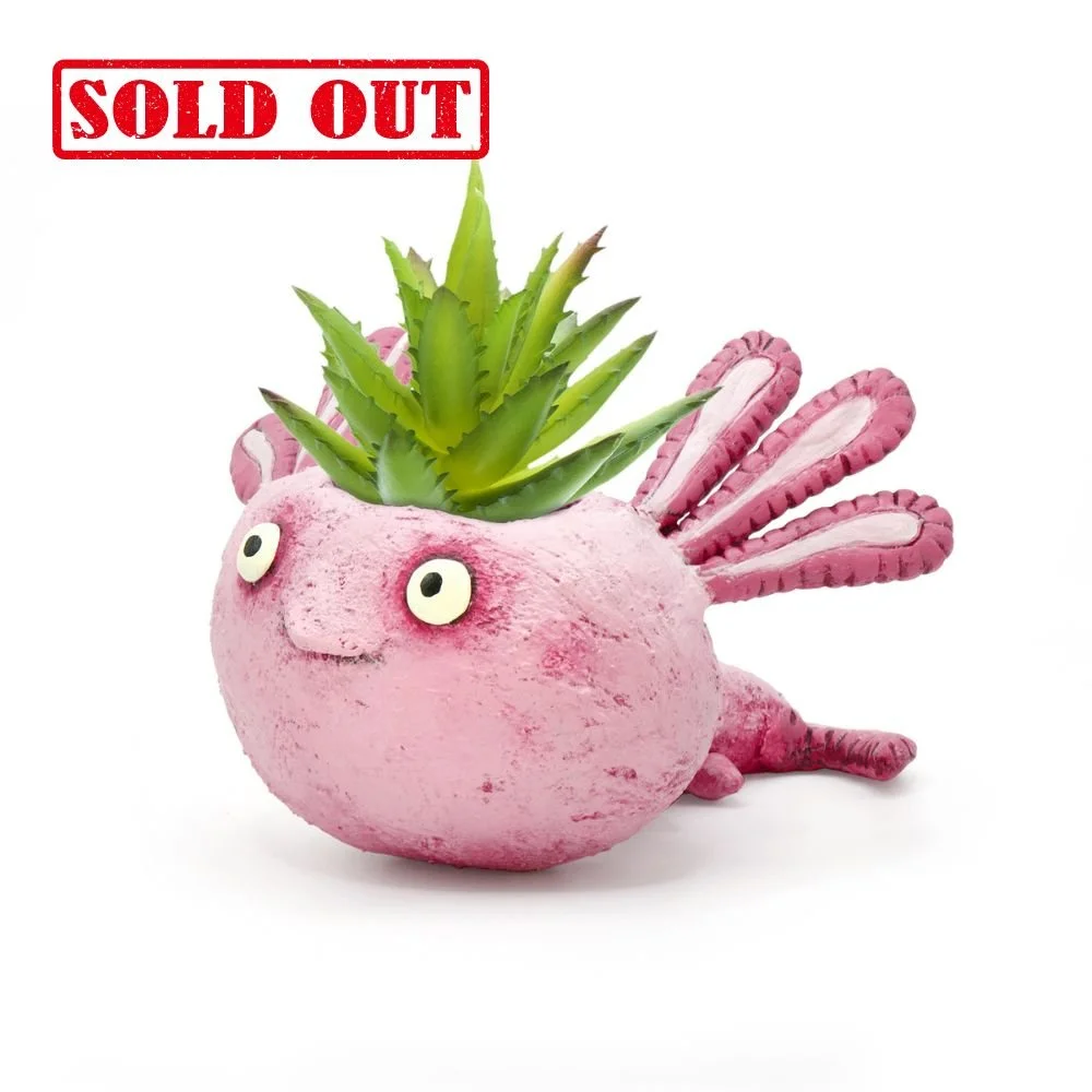 G21622 "Alexander" Axolotl Baby Salamander Planter