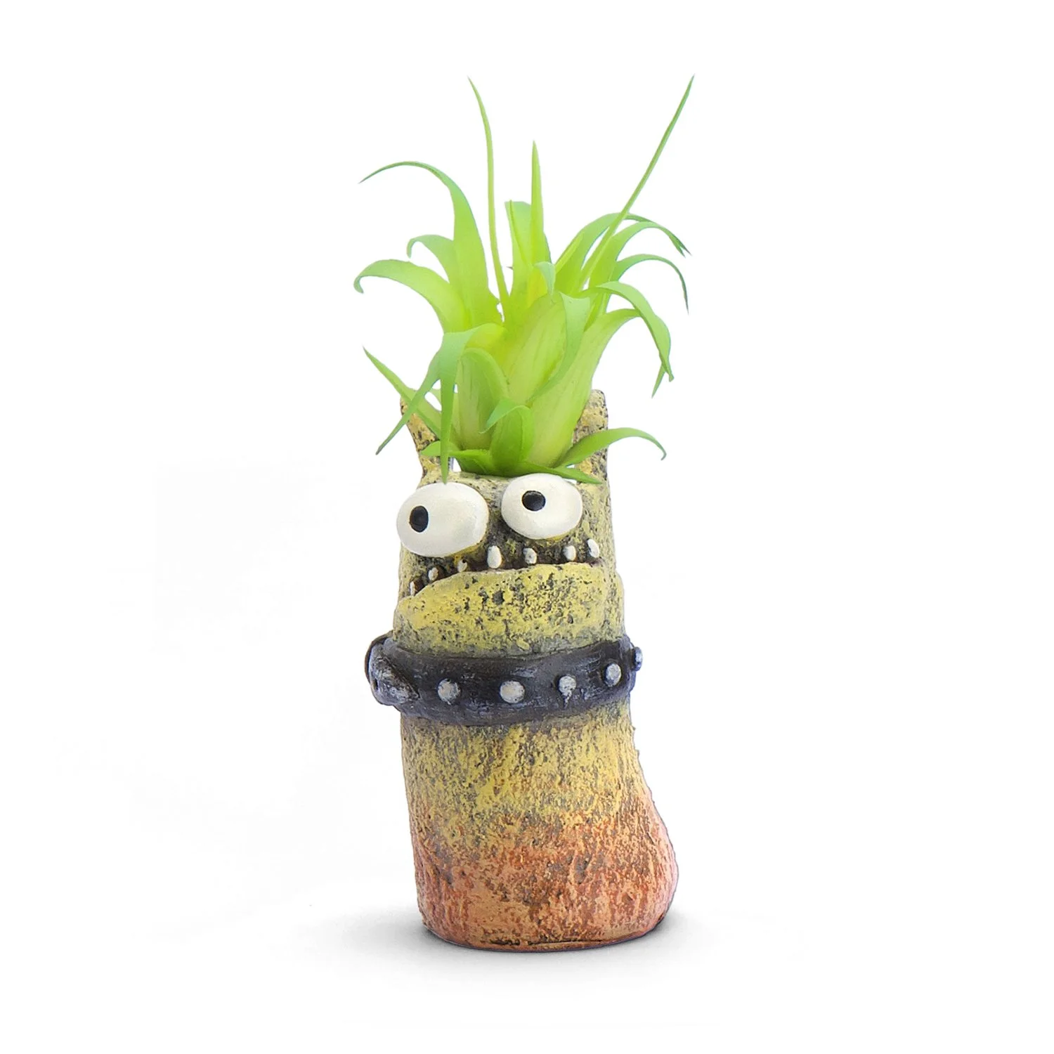 G21503 - Bloomies 'Diesel' Mini Monster Planter