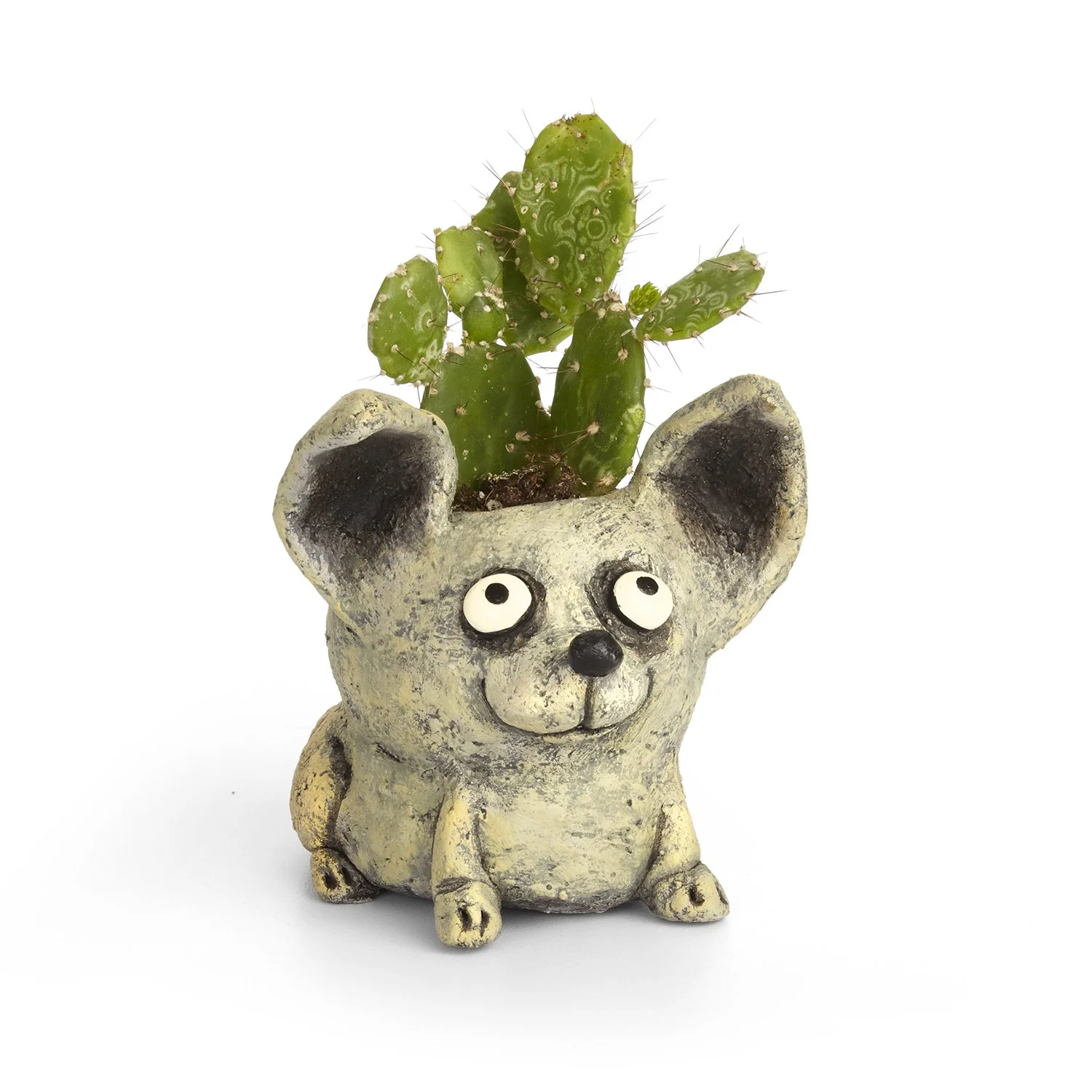 G21557 - 'Chico' Dog Planter