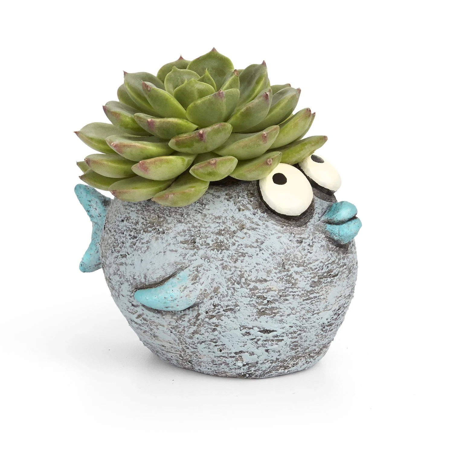 G21561 - 'Bubbles' Fish Planter