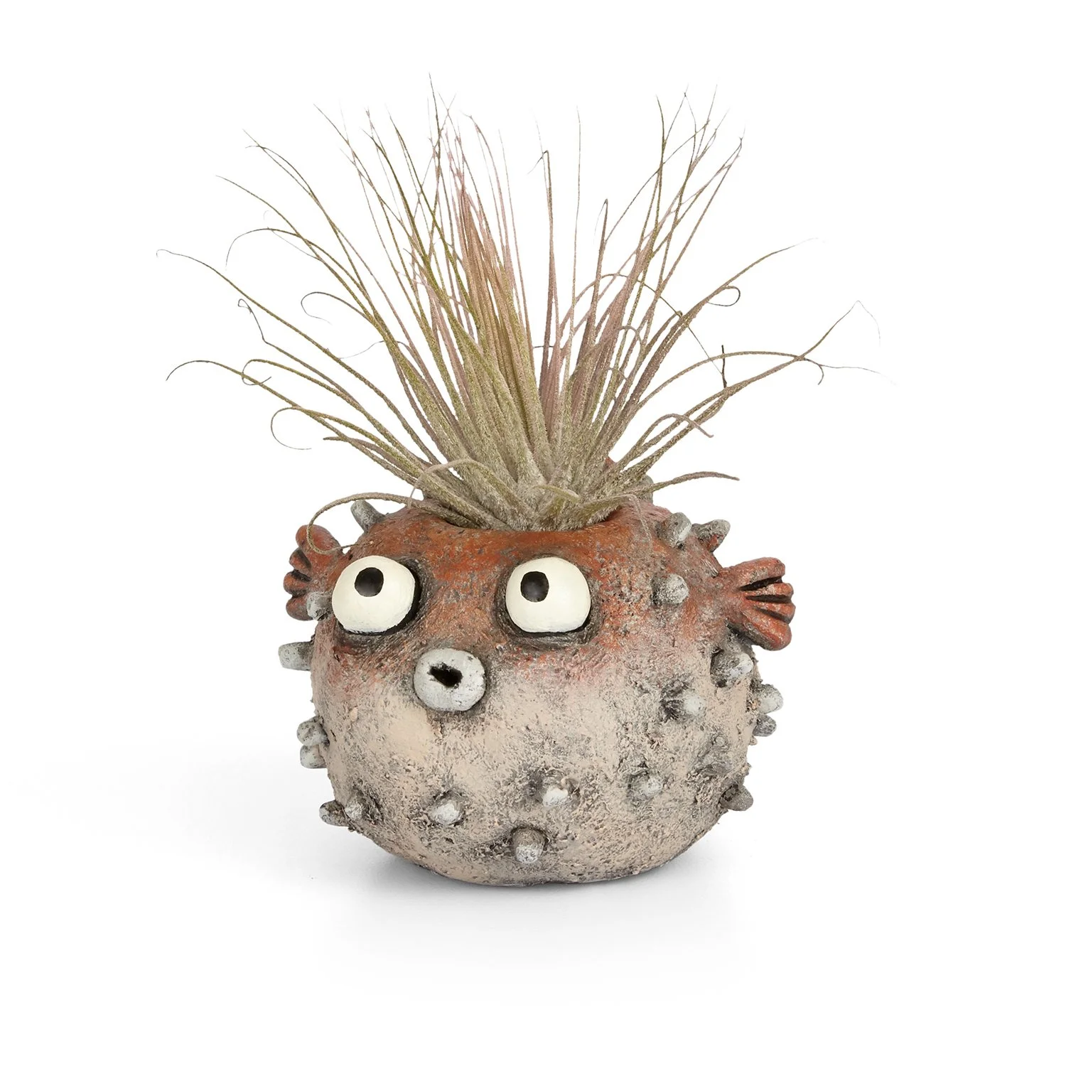 G21569 - 'Sushi' Blowfish Planter