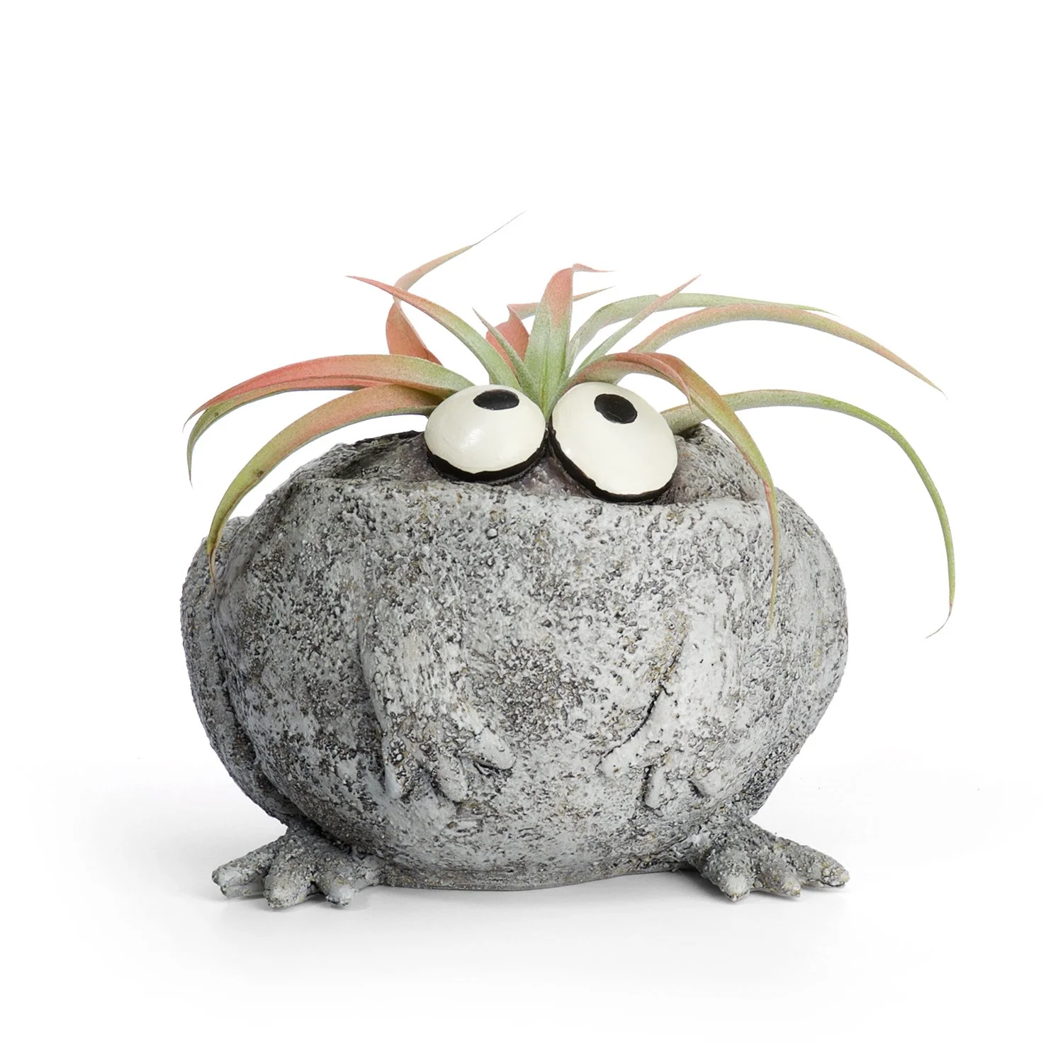 G21235 - 'Romeo' Frog Planter