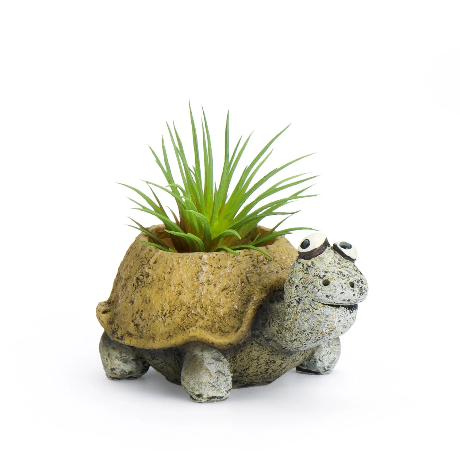 G21455 - 'Baby Preston' Mini Tortoise Planter
