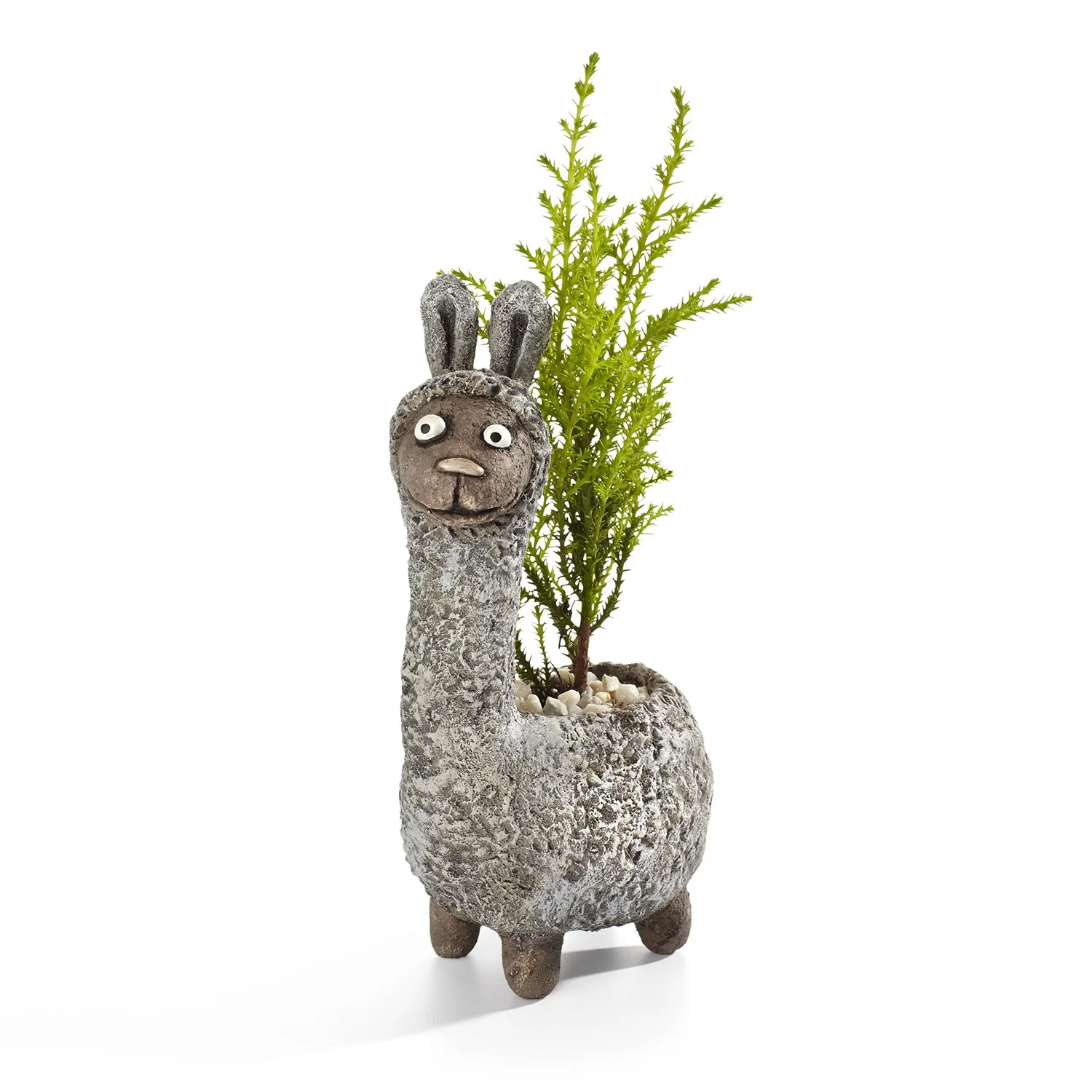 G21540 - 'Dolly' Llama Planter