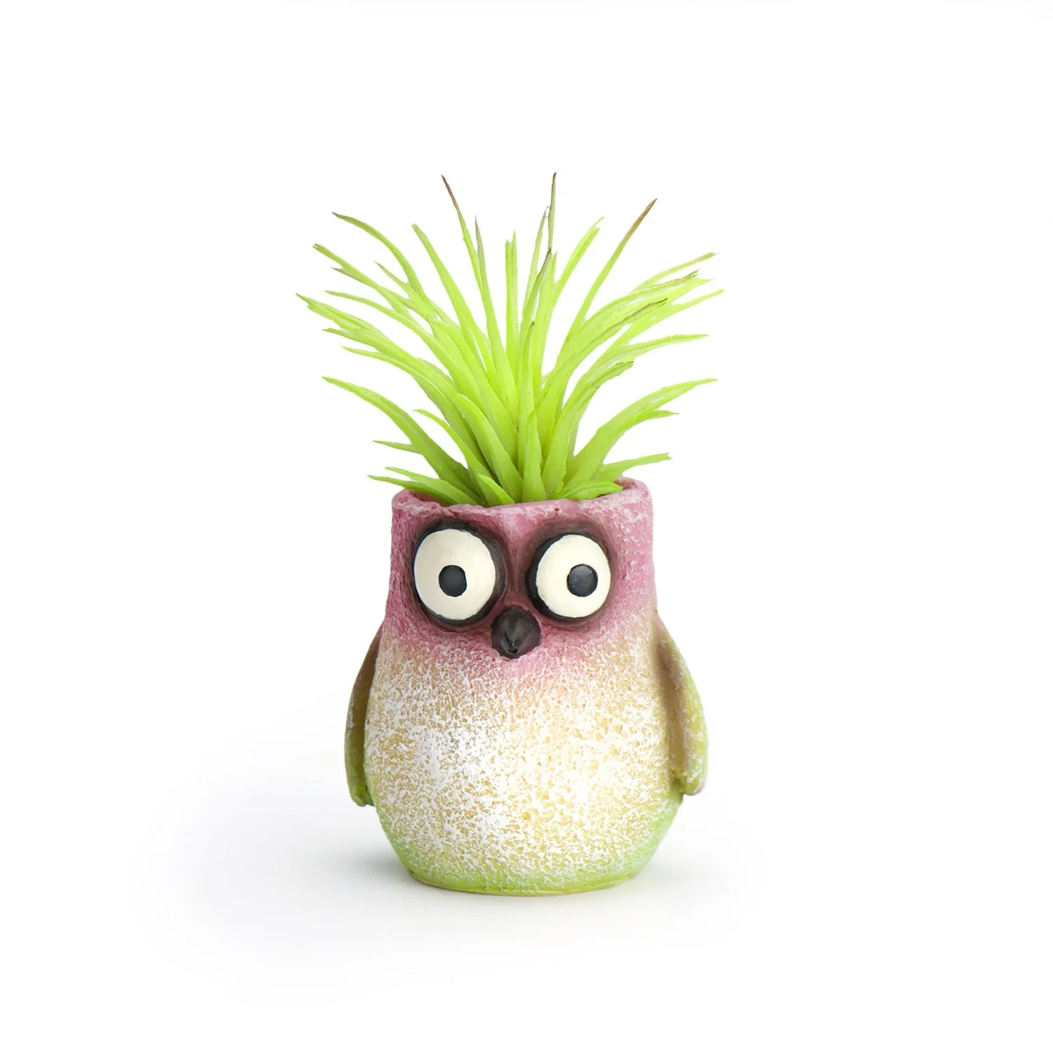 G21460 - 'Baby Bitty' Mini Hummingbird Planter