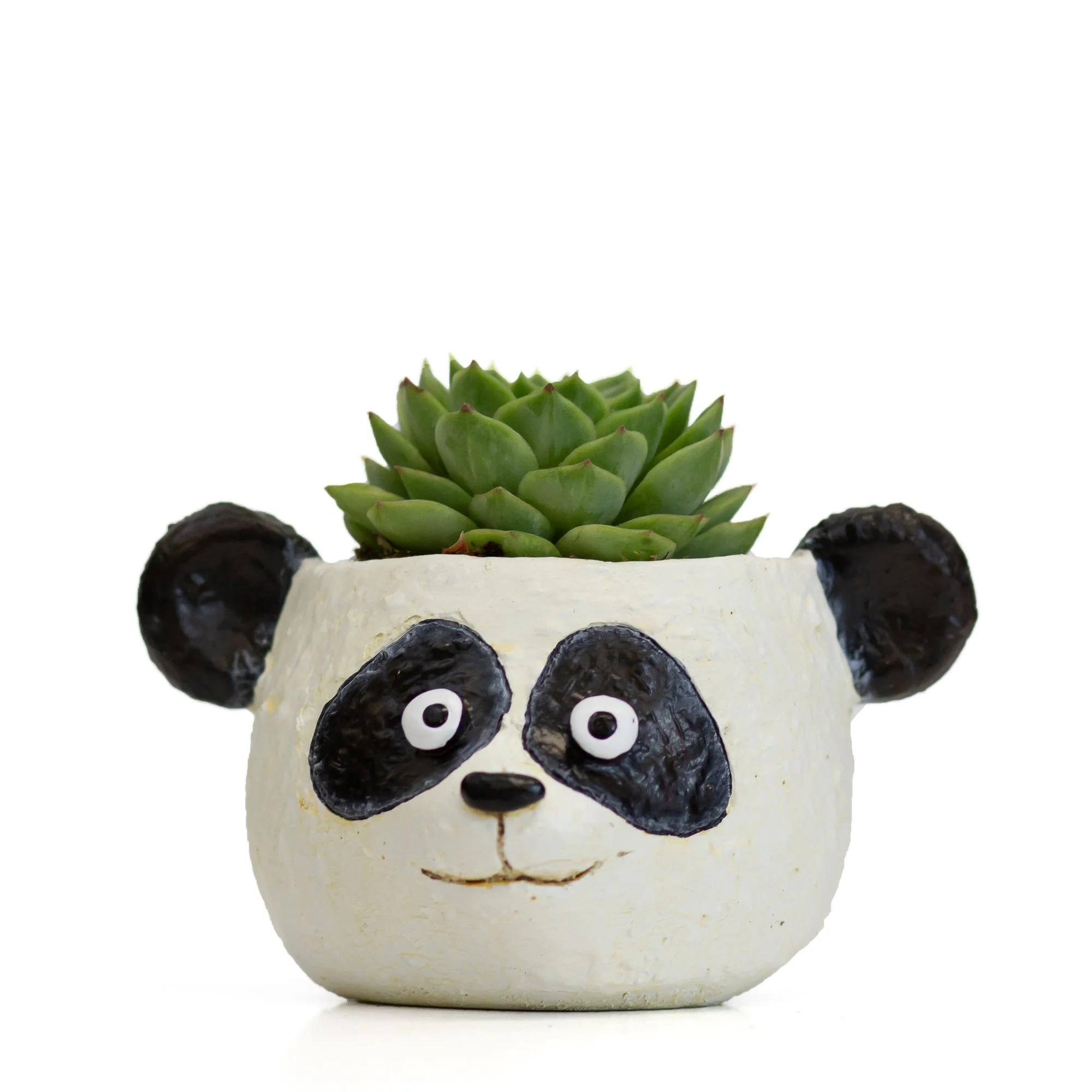 G21638 - Mochi the Panda Head Planter