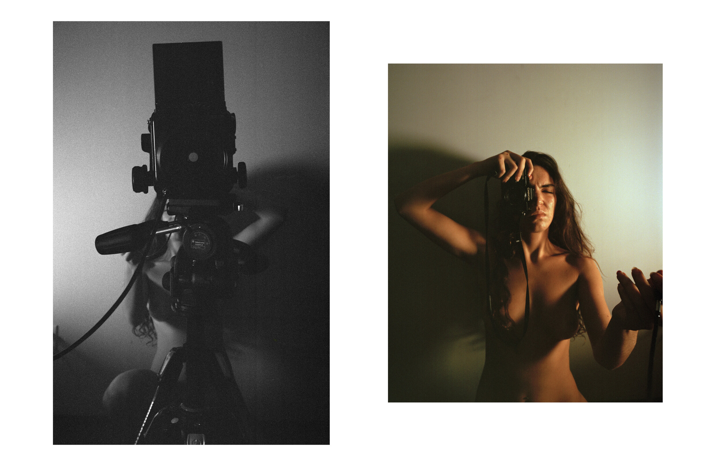 selfportraits_dyptich_01.jpg