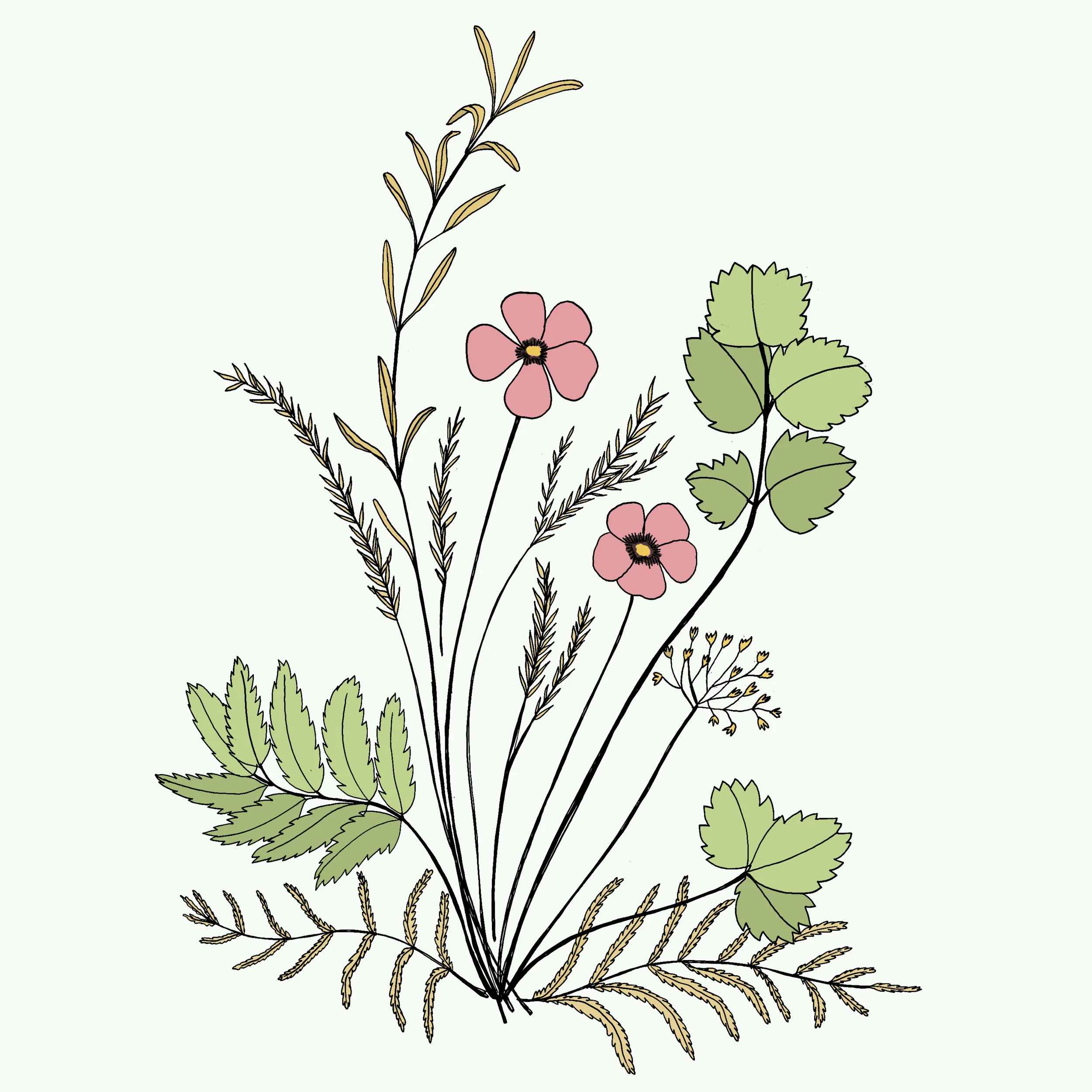 EB-FleursSéchées.jpg