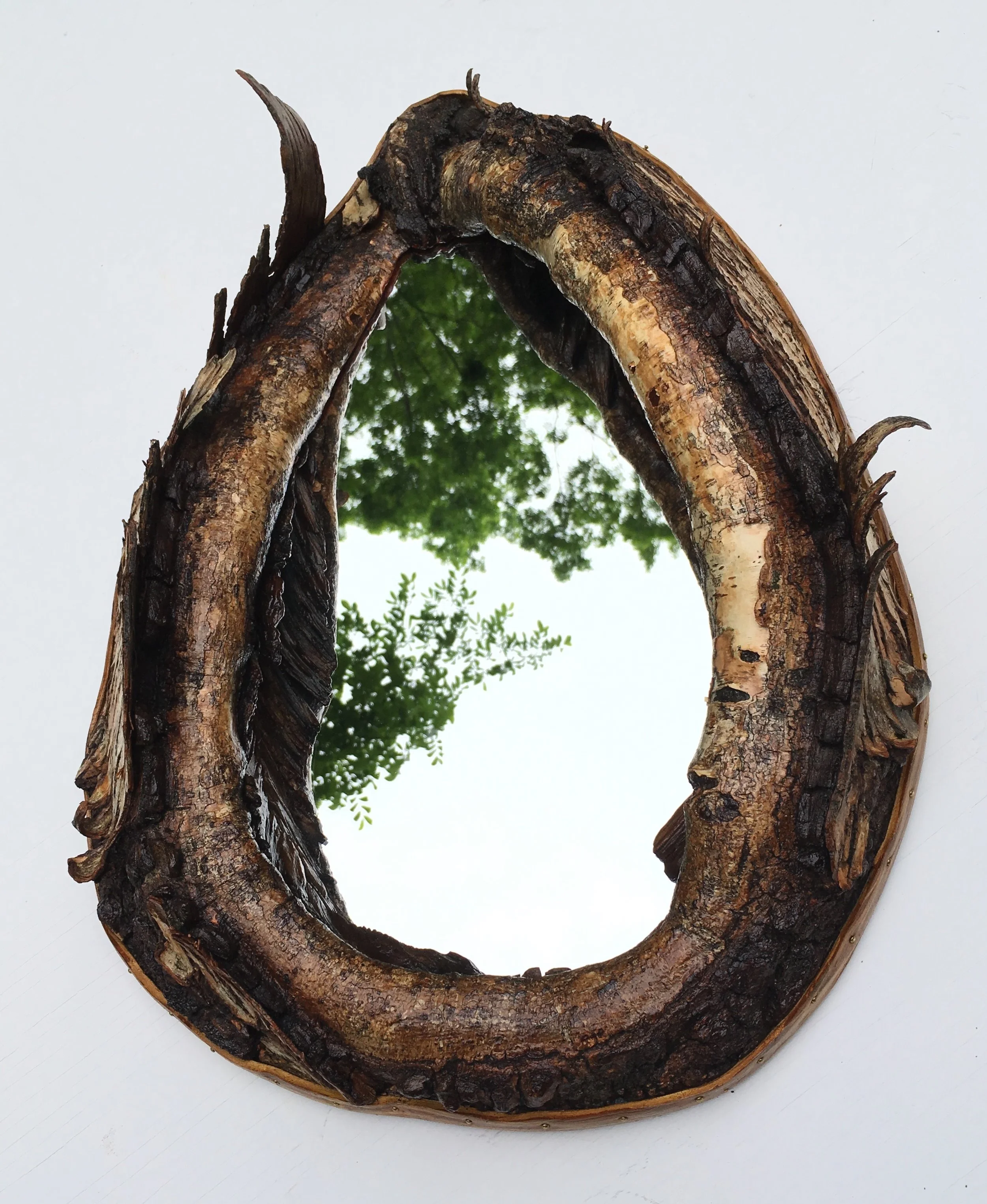 birch a.jpg