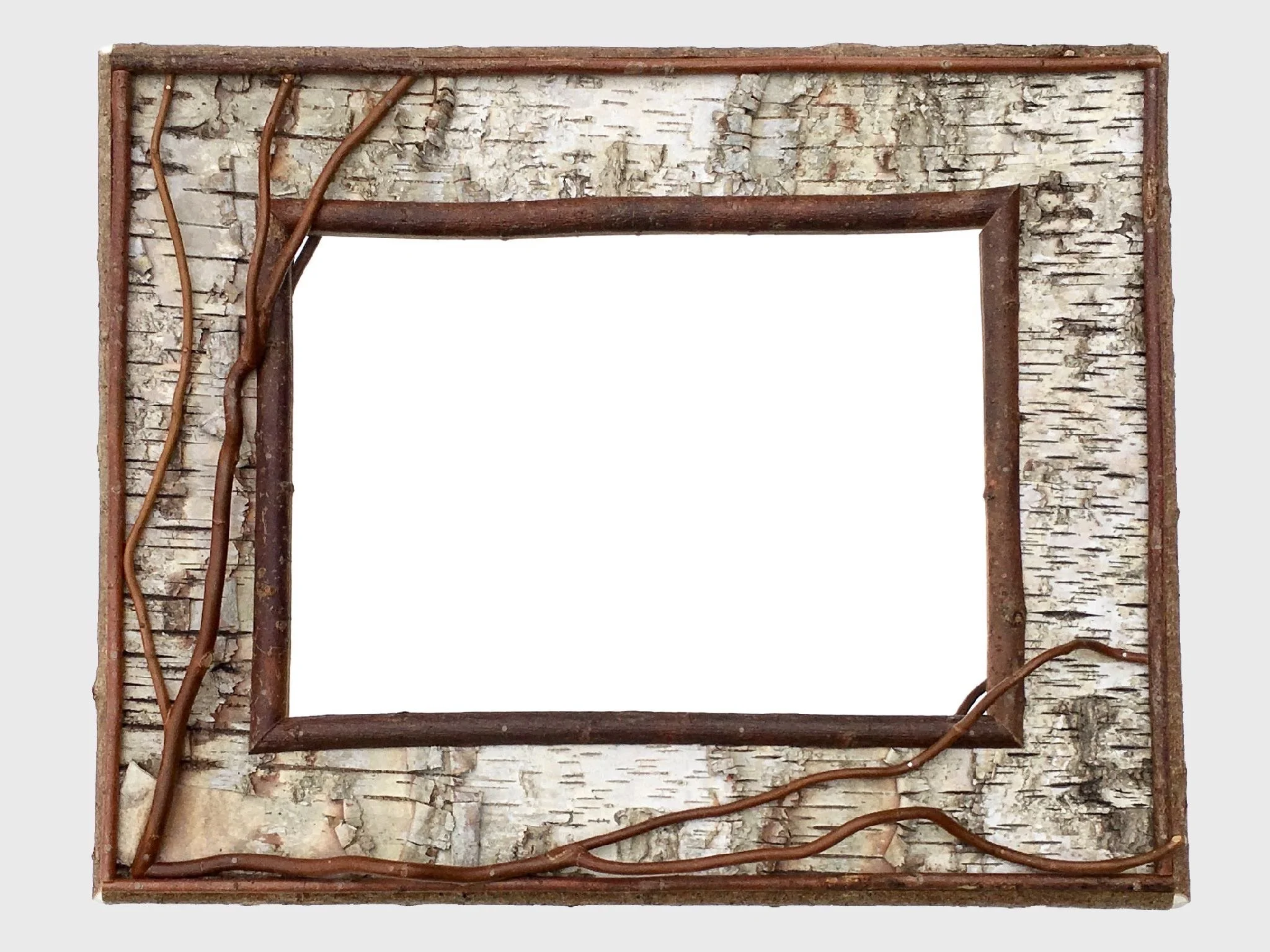 Birch Bark Frames with Willow Trim, Mirror & Curly Willow Accent