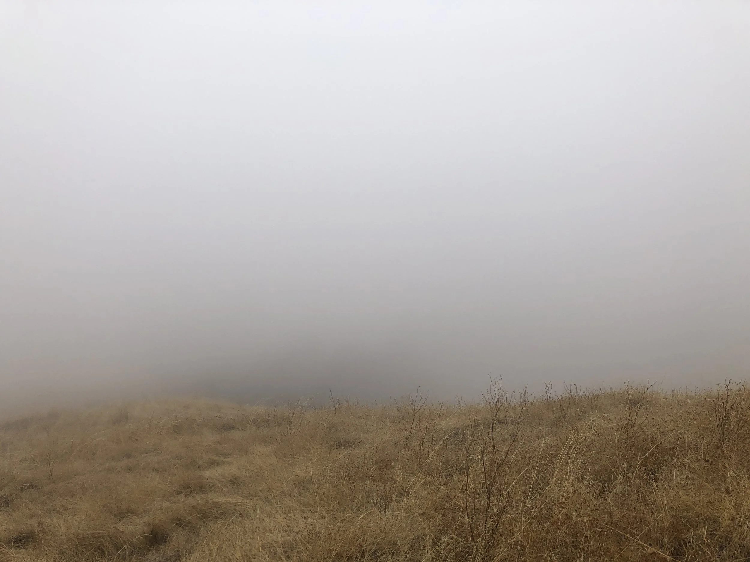 My Meditation at Mount Tamalpais