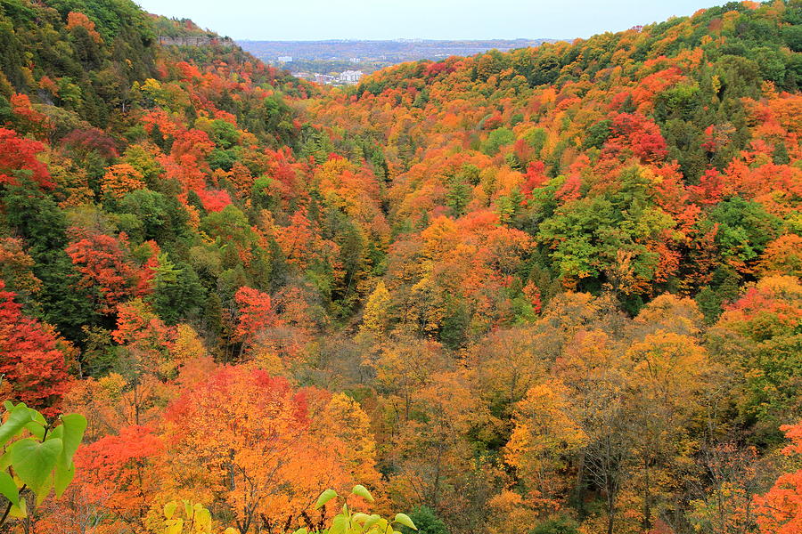 dundas-peak-during-fall-philip-neelamegam.jpg