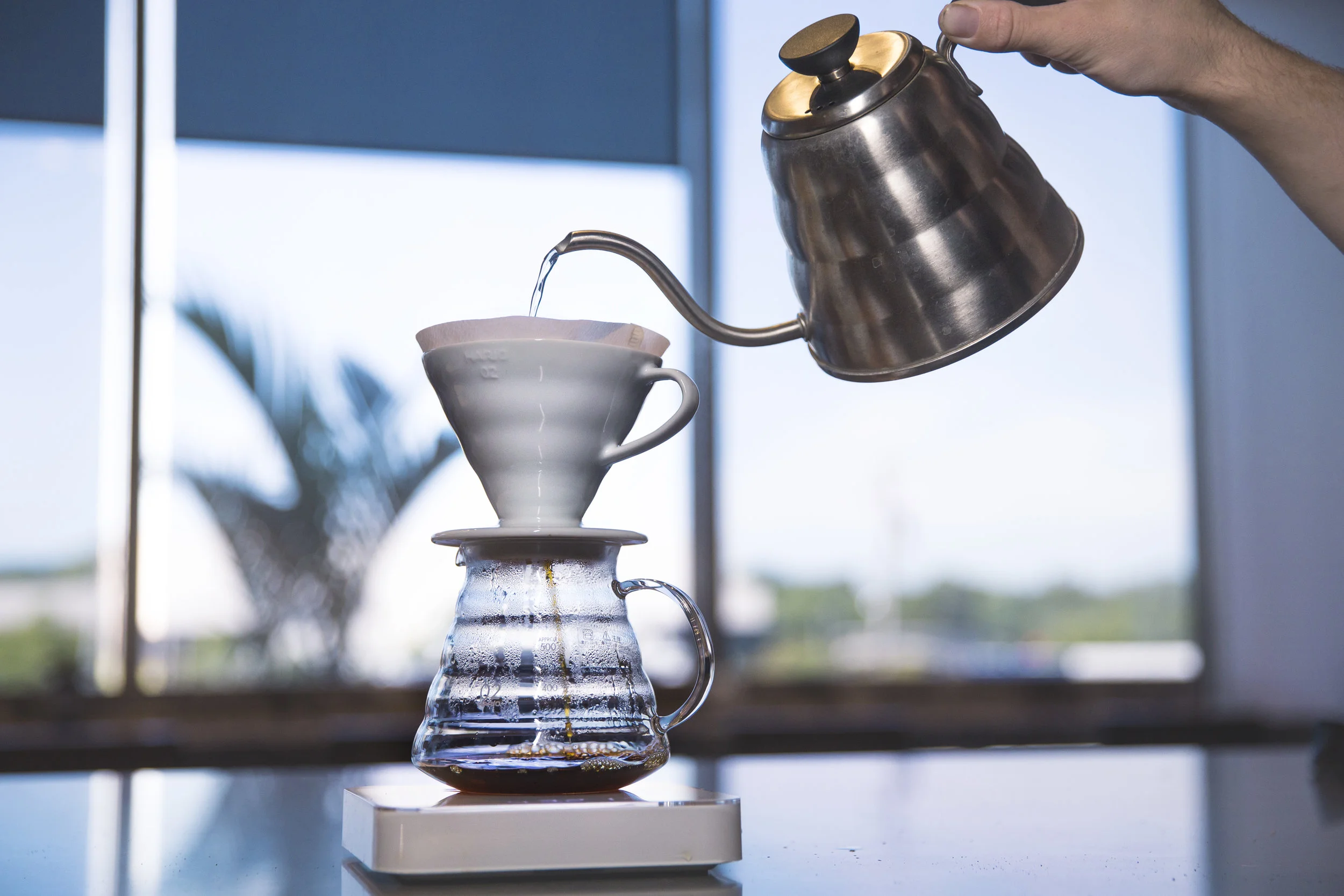 Hario V60 Brewing Kit — Coma Coffee 