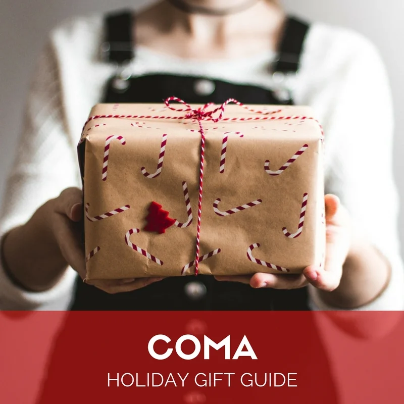 2017 Holiday Gift Guide 