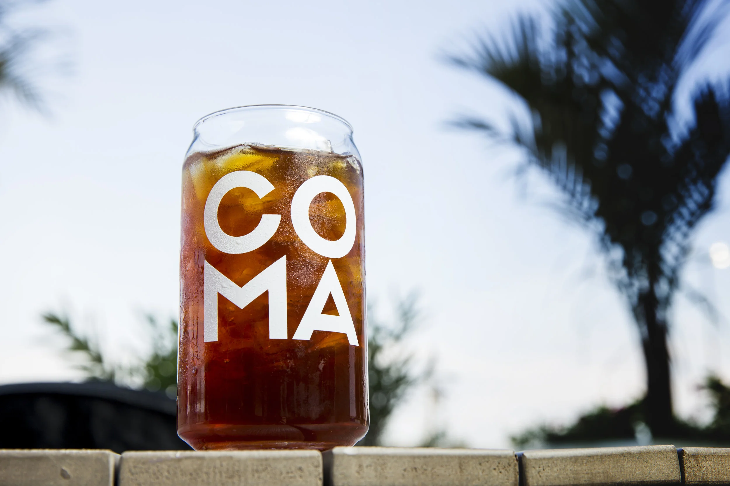 PalmTrees_COMA_Glass.jpg