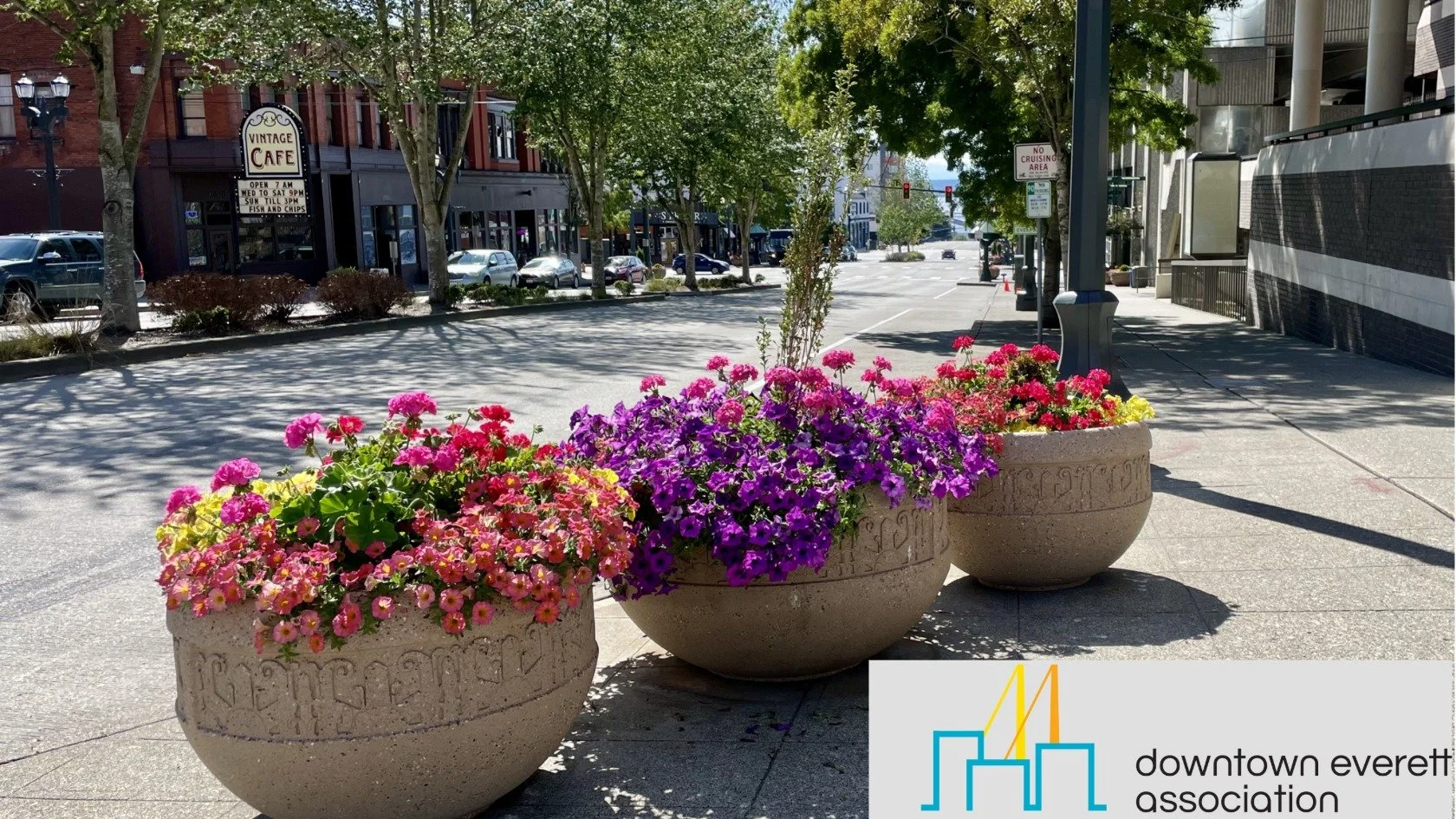 Image of three pot plants with Downtown Everett Association's logo at the bottom right corner