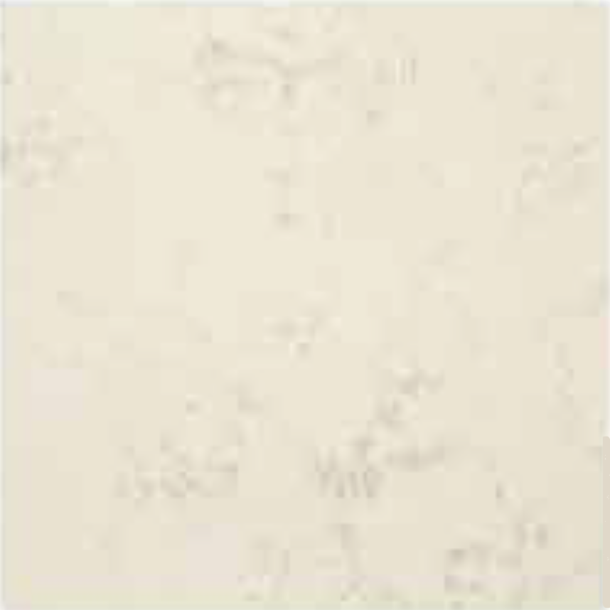 BIANCO ANTICO POLISHED STONE 1-1/4" SLAB 3CM THICK