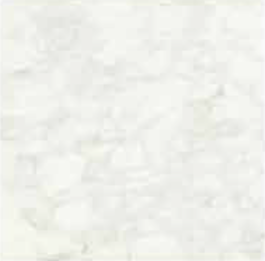 CALACATTA CALDIA POLISHED STONE 3/4" SLAB 2CM THICK