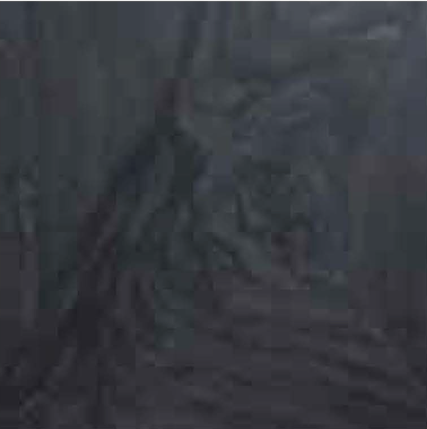 DOUBLE BLACK POLISHED STONE 1-1/4" SLAB 3CM THICK