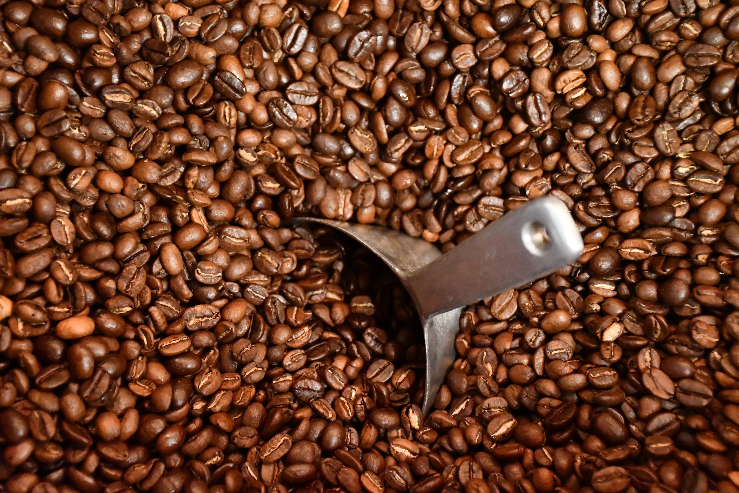 A Beginner’s Guide to Brewing Coffee at Home