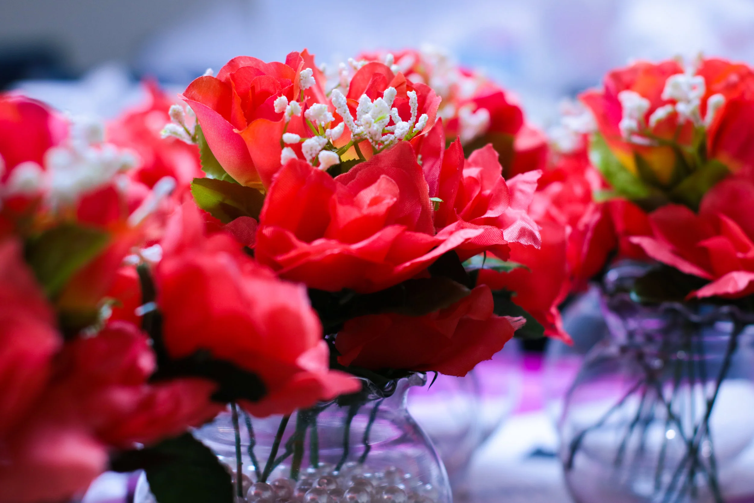 Wedding Samples (1 of 12).jpg