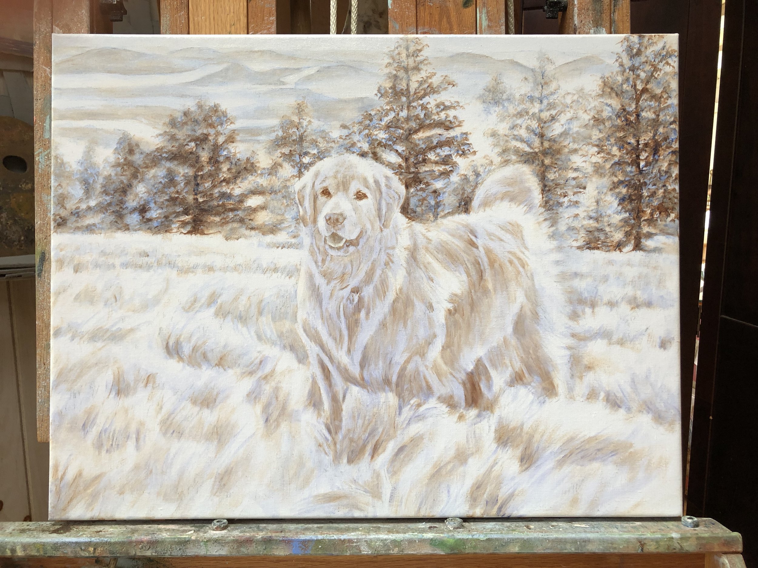 The "Dead" (colorless) Layer
